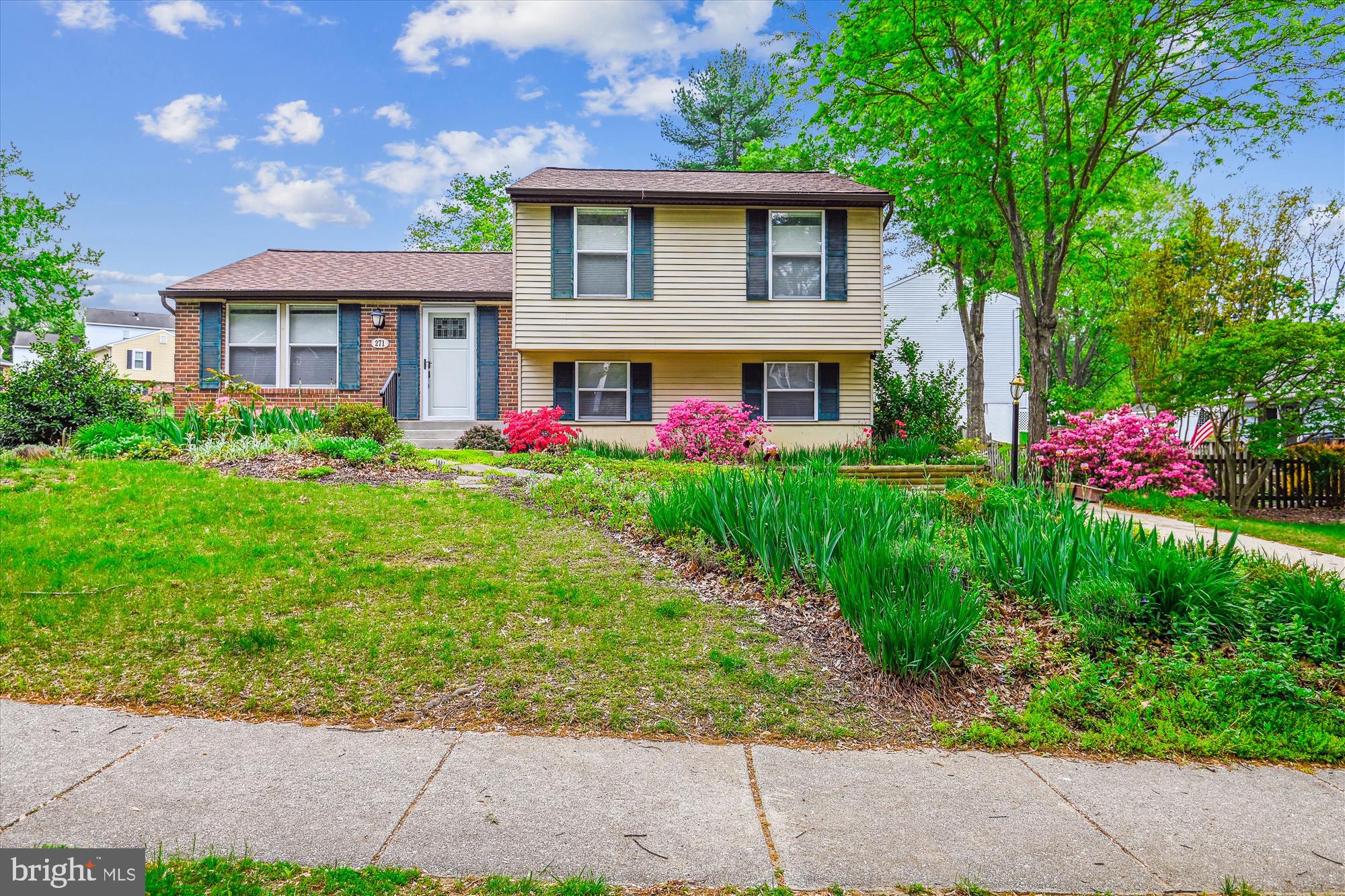 RAINTREE - Residential