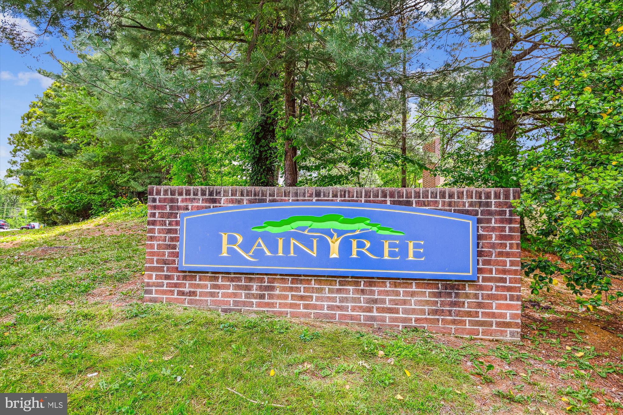RAINTREE - Residential