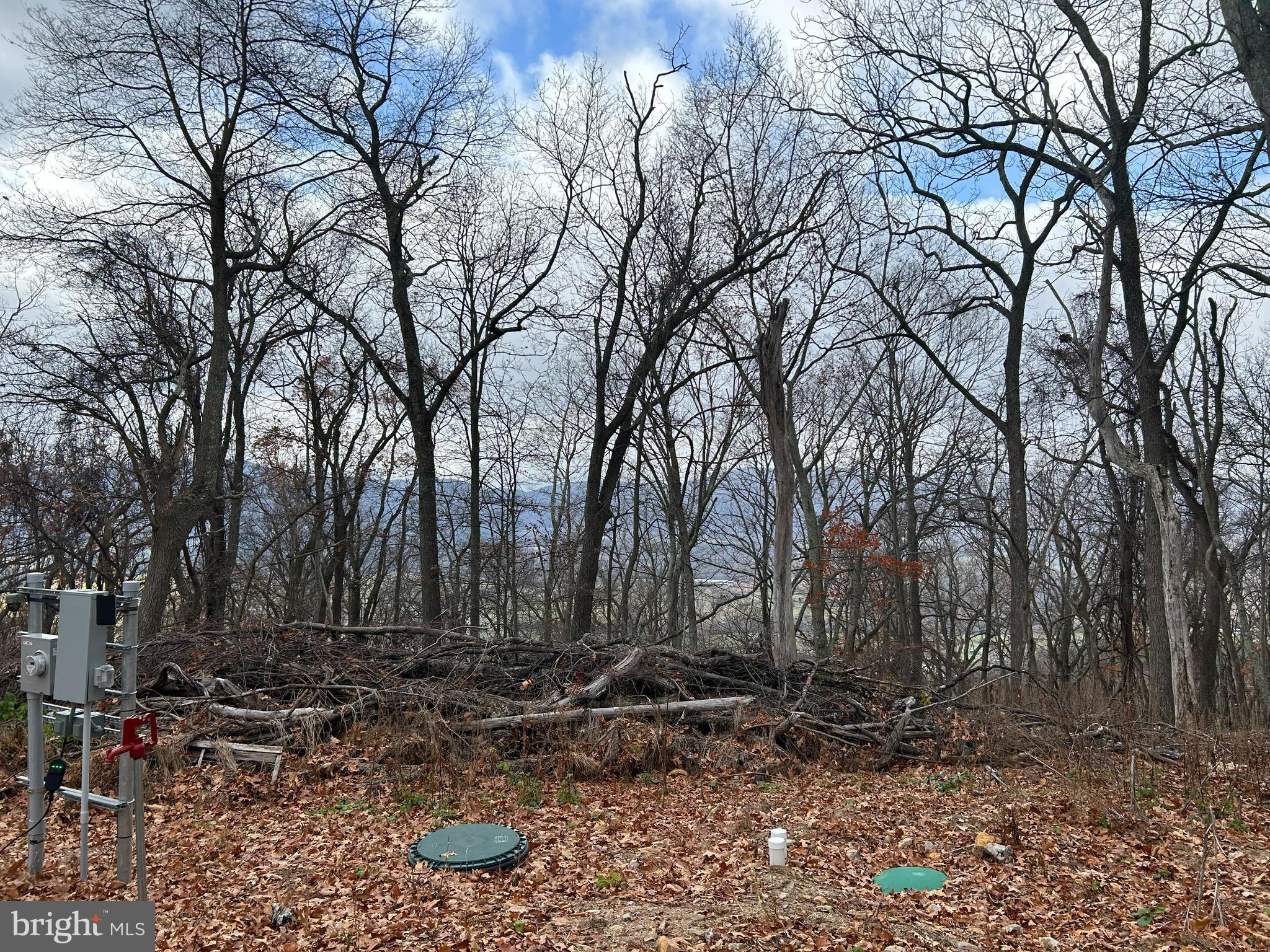 Photo 1 of 5 — HIGH KNOB, OLD FIELDS, WV 26845