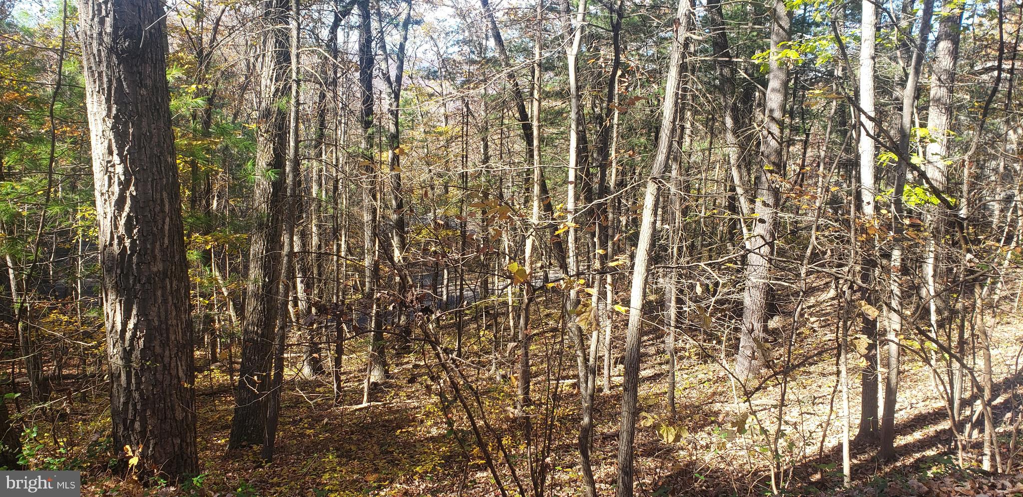 BRYCE MOUNTAIN RESORT - Land