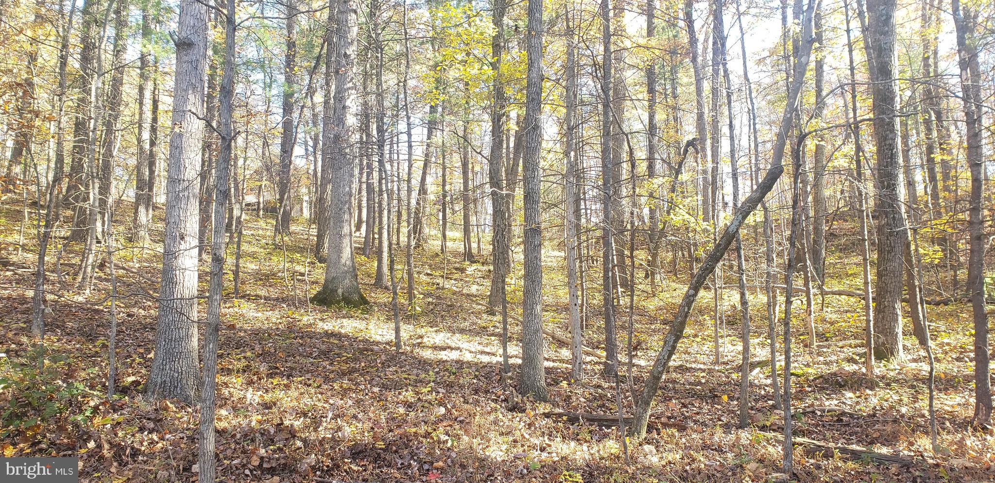 BRYCE MOUNTAIN RESORT - Land