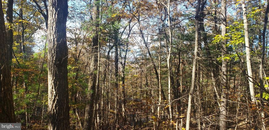 2 Building lots located in a desirable location at Bryce Resort.  Great North Mountain Views are a definite in the fall/winter months.  Summer views depend on how the home is built on the lots. Located just off a State Maintained Road, these two lots have easy access to the amenities at Bryce and off the mountain!  Lots are slightly sloping and perfect for a walk-out basement.