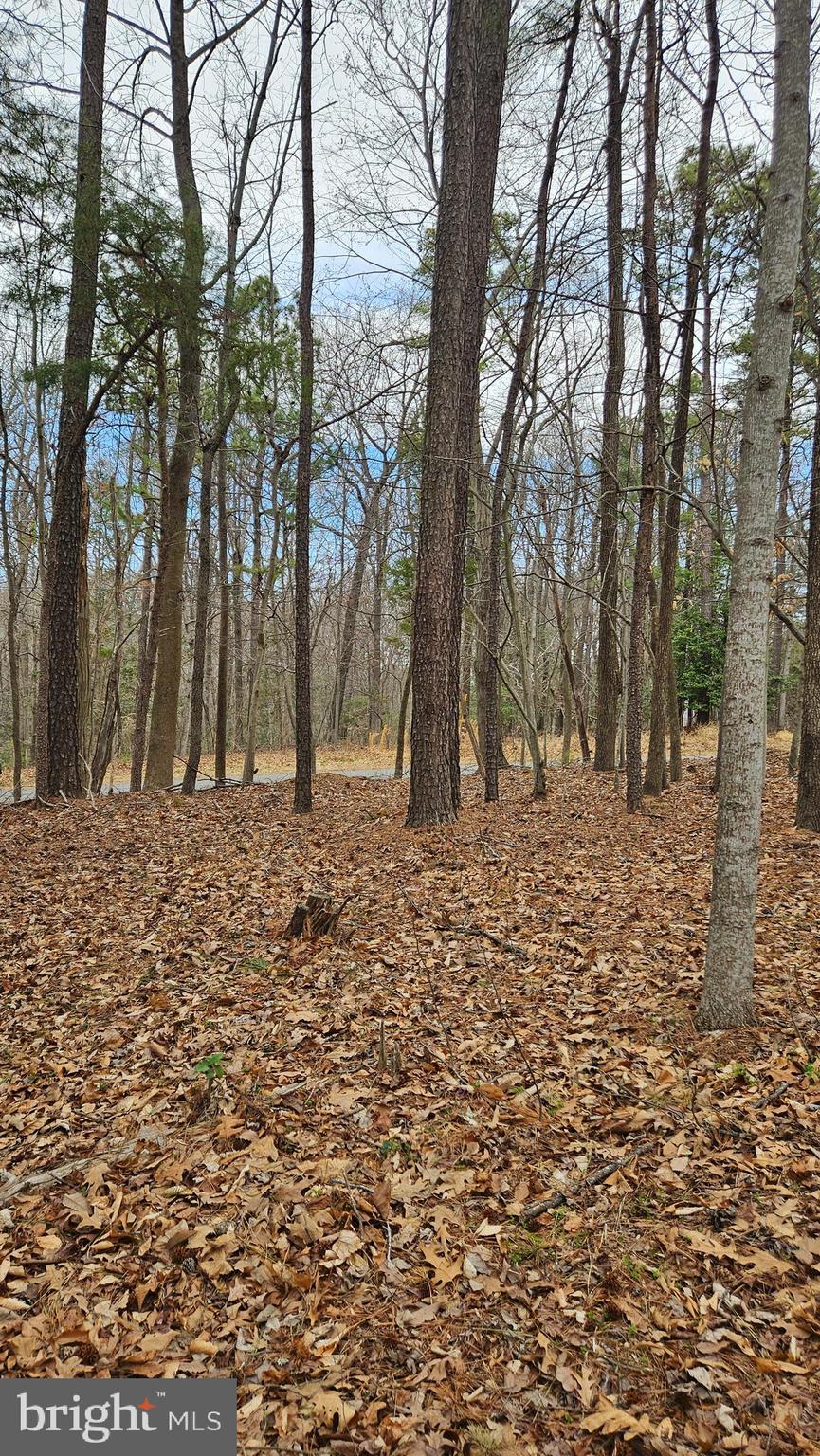 STRATFORD HARBOUR - Land