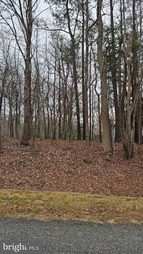 Vacant Land For Sale - LOT 20 Hidden Lake Dr.<br/> MONTROSS, VA 22520