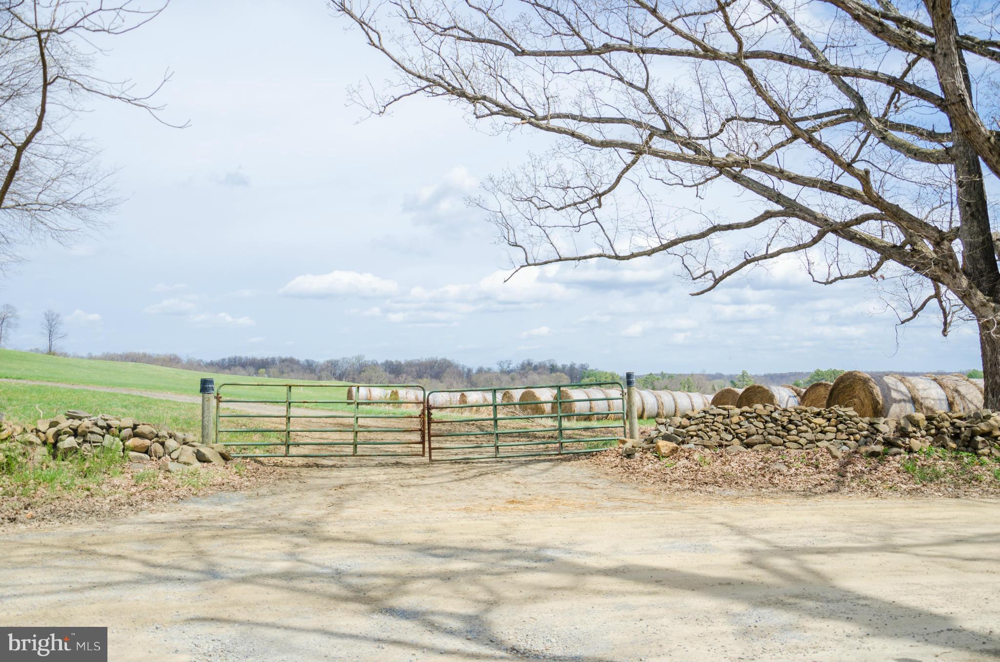 NONE AVAILABLE - Farm