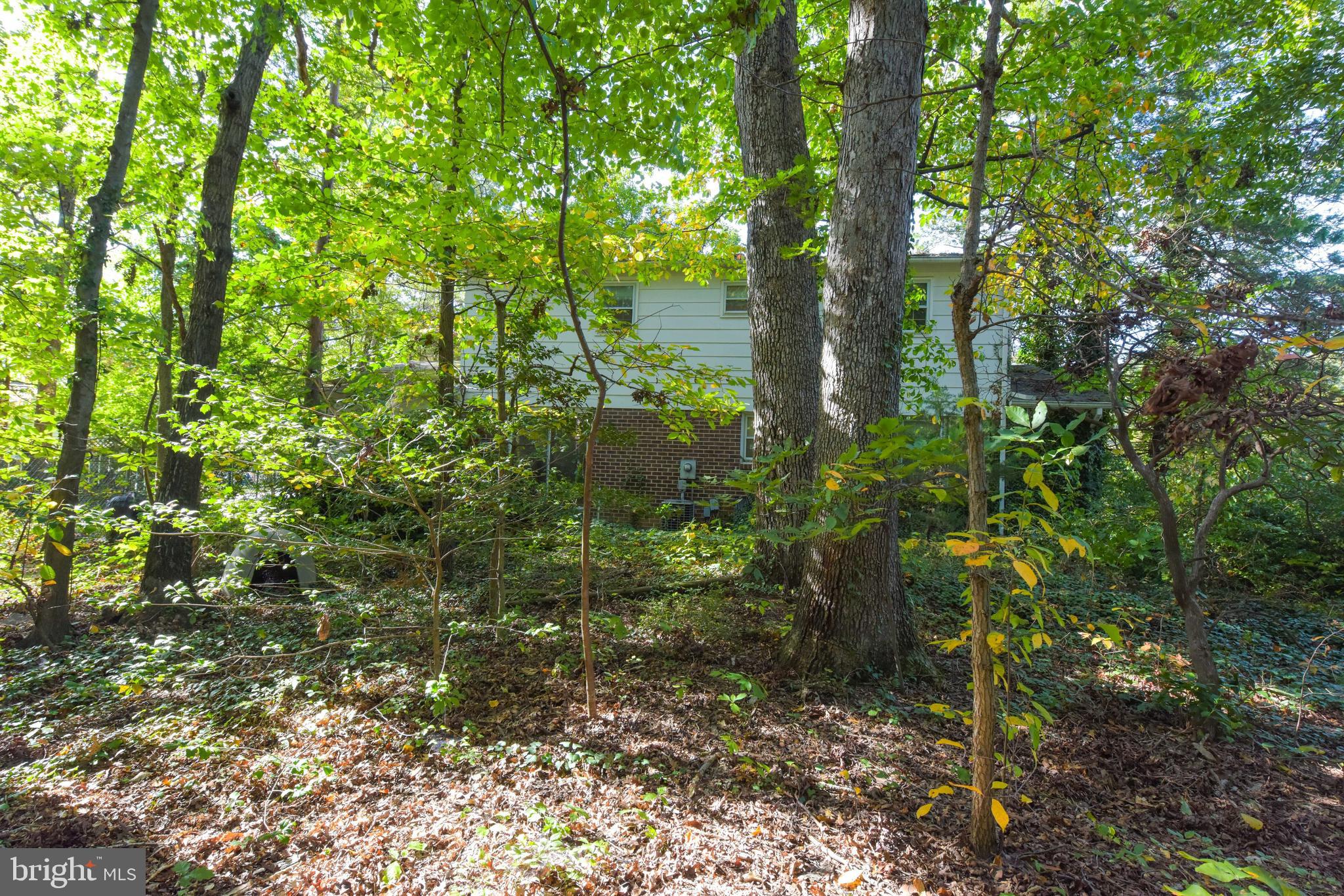 ORANGE HUNT ESTATES - Residential