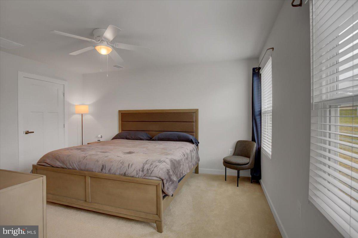 CARDINAL POINTE - Residential