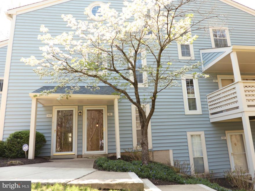 Bright Sparkling Garden-Style BR/1BA Ground Lvl Condo w Balcony. Inside I-495 & Nr Rtes 50/66, Dunn Loring Metro, Mosaic Distr, Fairfax Hosp,Tysons. Fully Renovated w New Pergo Floors in Living/Dining/BR. Brand New BA w Ceramic Tile Wall/Floor; New Vanity/Tub/Commode. Kitchen New Granite Counters, All New GE SS Gas Range, Microwave, Dishwasher, Frigidaire Fridge; Big BR, Walk-In Closet, Wood FP+