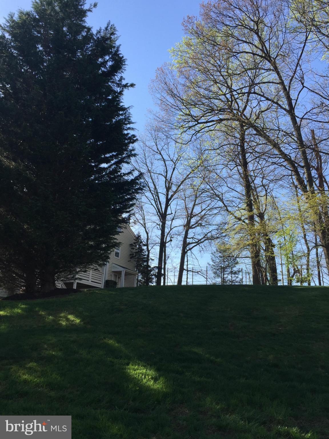 WILLOW POINT - Residential Lease