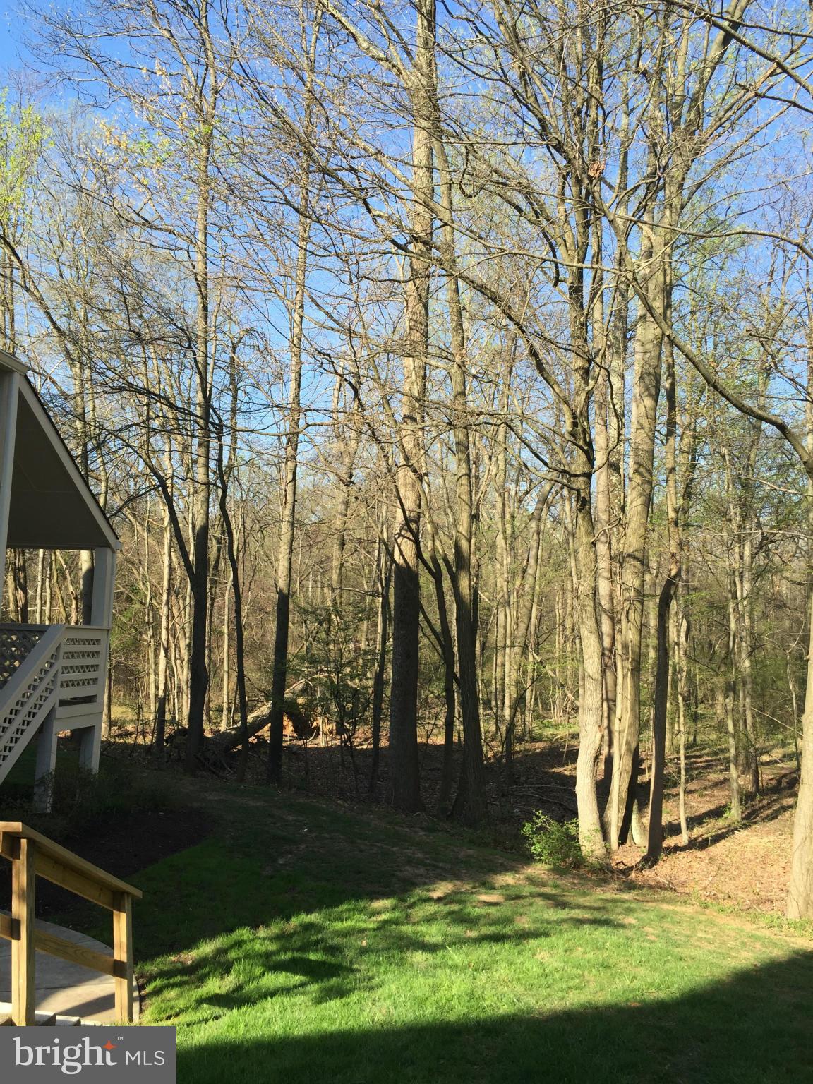 WILLOW POINT - Residential Lease