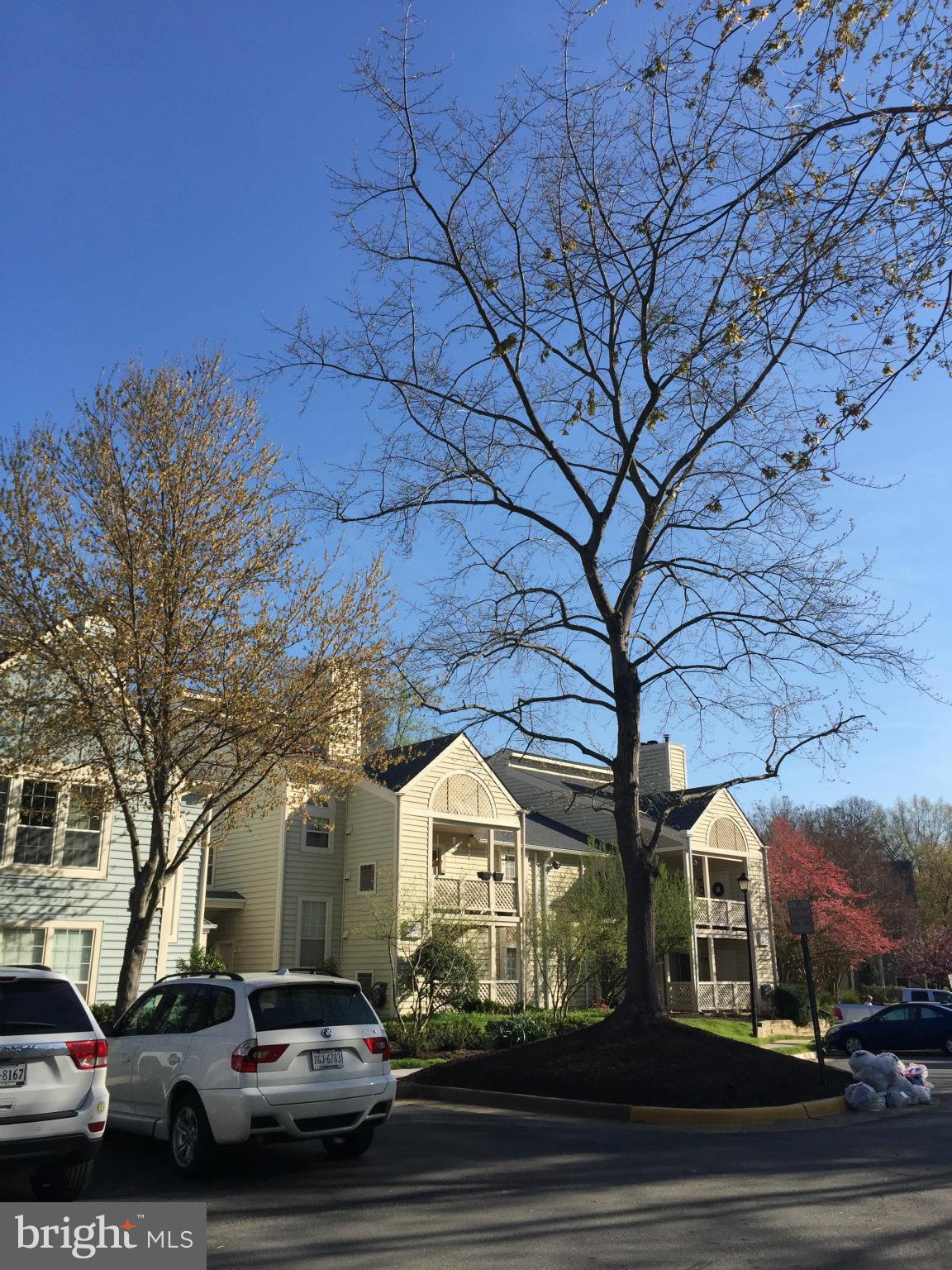 WILLOW POINT - Residential Lease