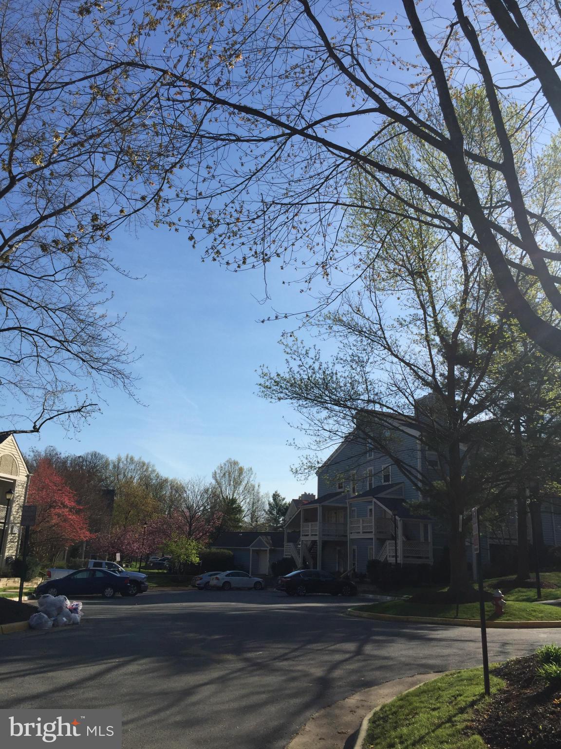 WILLOW POINT - Residential Lease