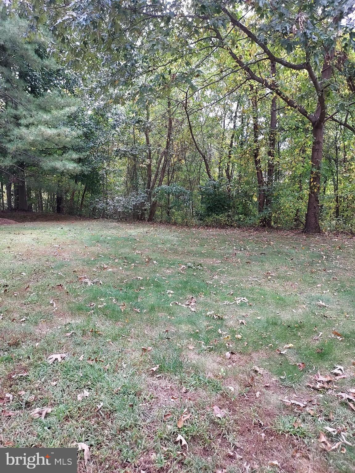 GLENSFORD - Residential Lease