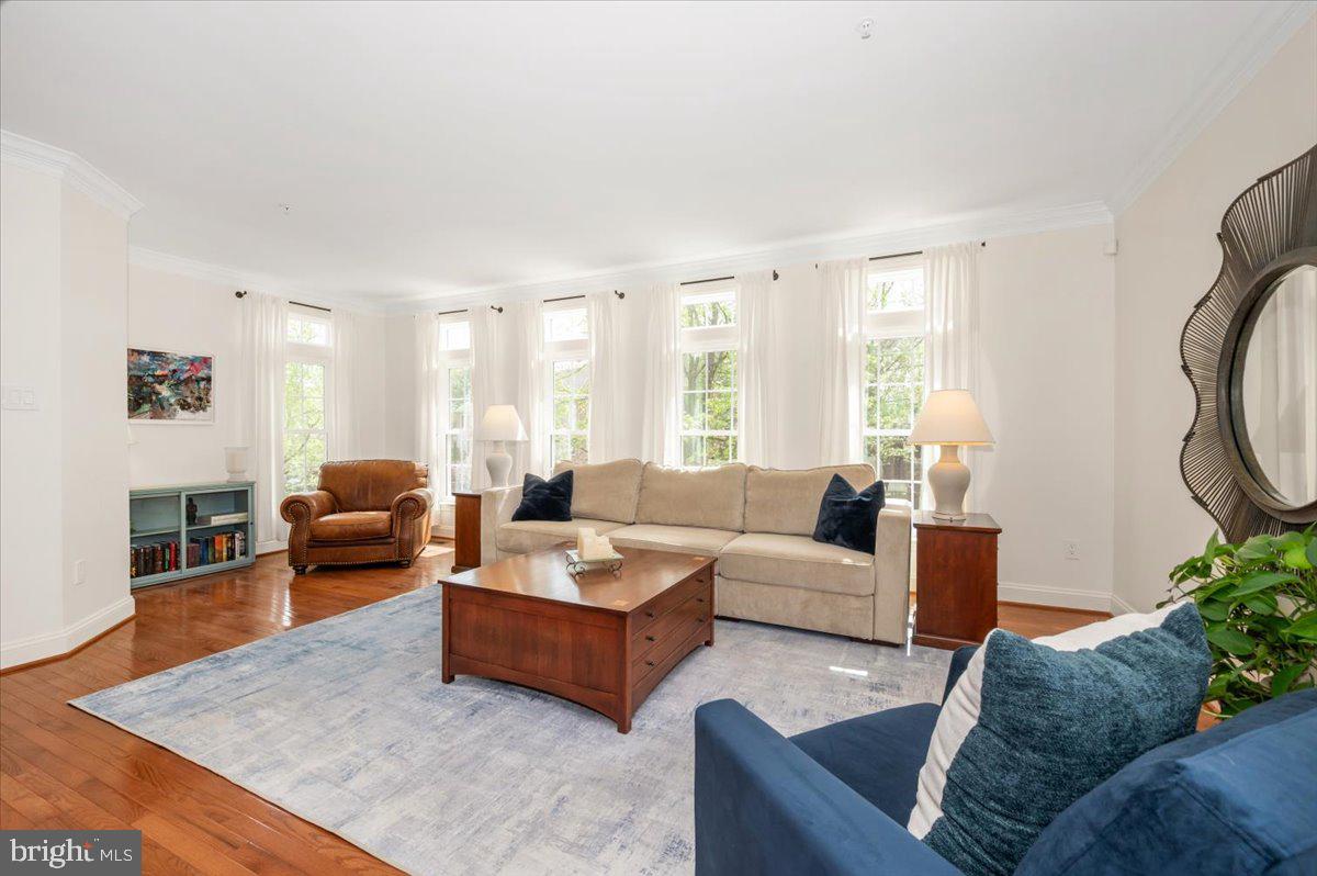 QUINCE HAVEN - Residential