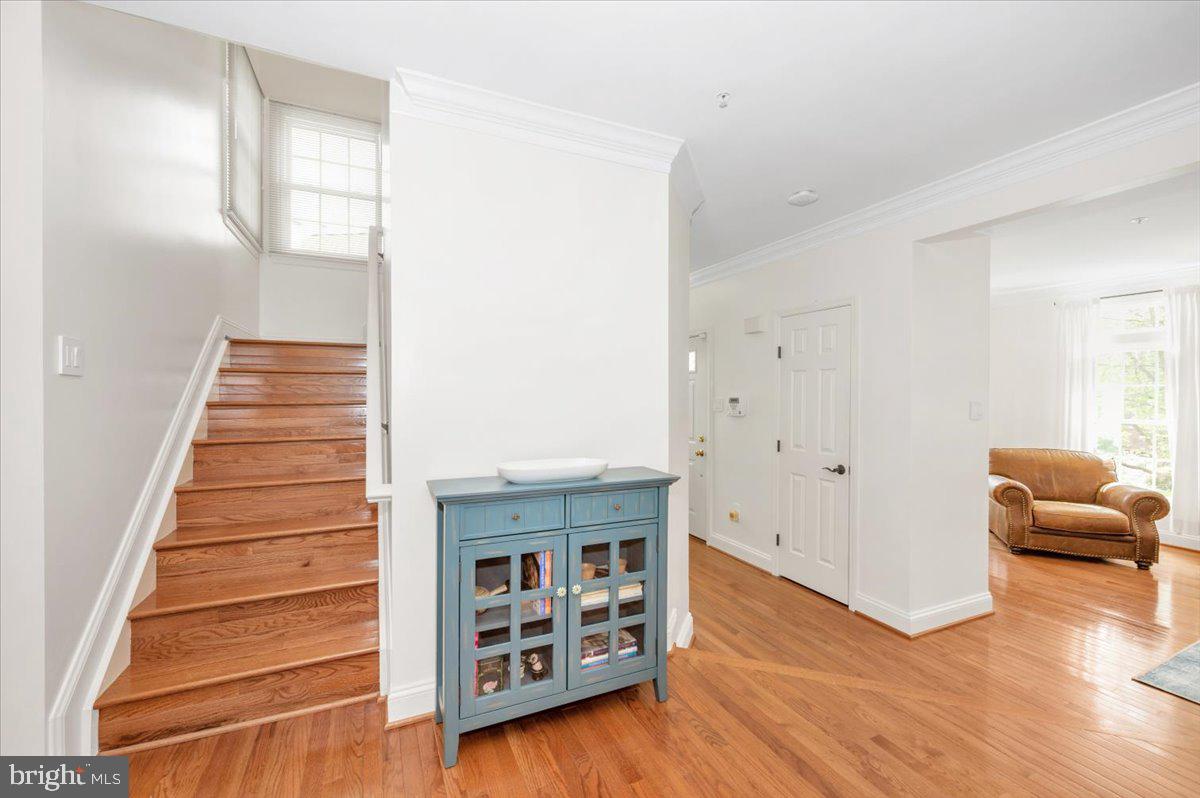 QUINCE HAVEN - Residential