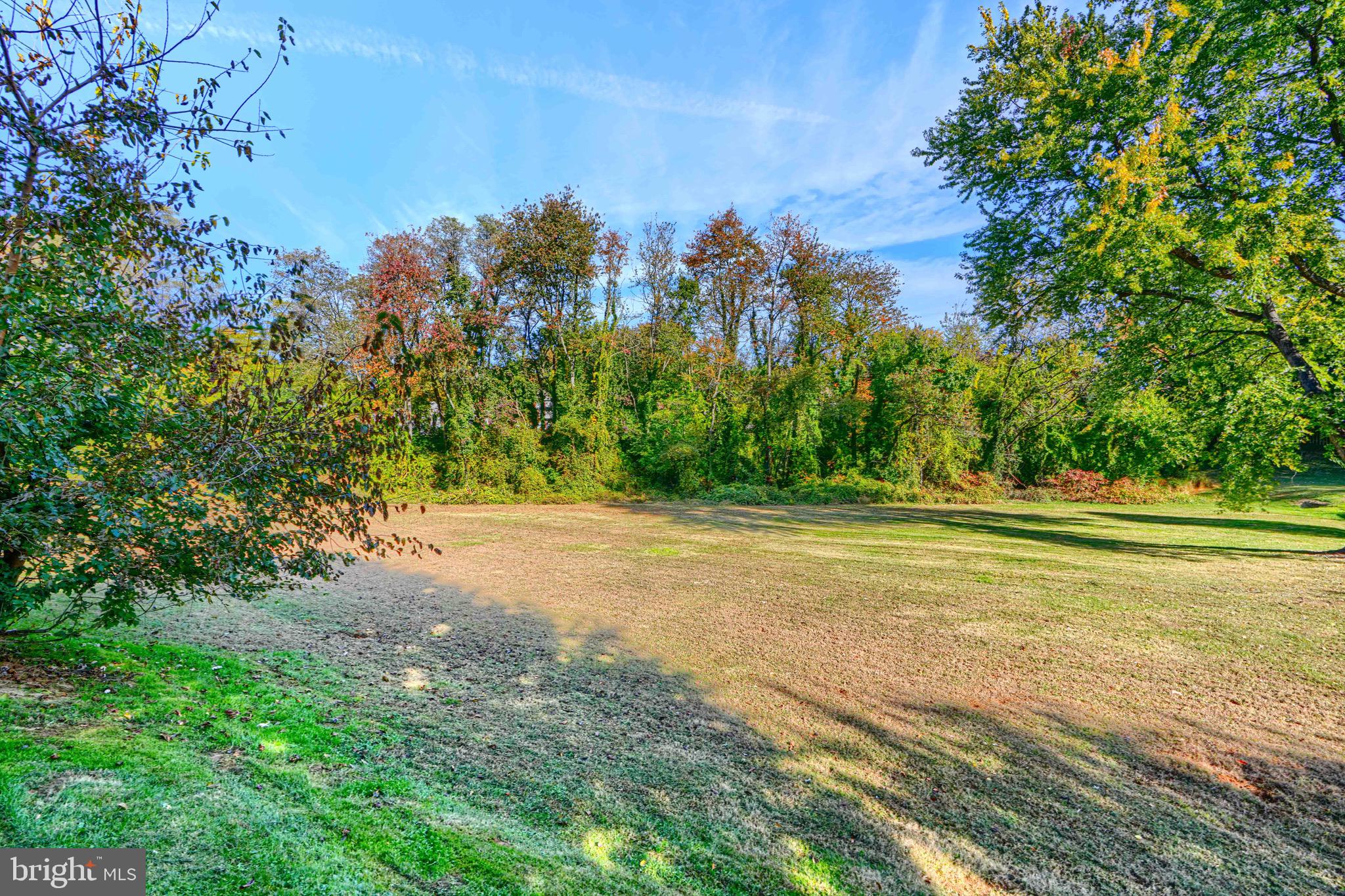 SATYR WOODS - Residential Lease