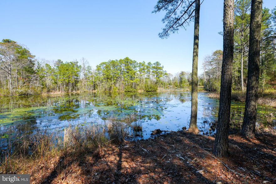 Looking for the perfect piece of cleared land to call your own? Look no further than this 40-acre property, featuring a stunning pond that sparkles in the sun. Originally intended to be Phase 3 of the neighboring Olde Mill Point development, this land is now being offered as a single parcel with no HOA or accompanying fees.

Landscaped along the road for added privacy, this incredible property boasts endless possibilities for future development. Subdivision is entirely possible, making this acreage perfect for builders and developers interested in creating their own community within the bounds of the property.

With deed restrictions in place, this land offers all of the peace of mind that comes with knowing that mobile homes are not permitted. This means that whatever you're dreaming of is possible, whether that means a custom-built home, a small family homestead or a personal oasis for relaxation and retreat.

The 40-acre property is ready for its next phase of life, and it could be waiting just for you. 
Located near Chincoteague Island, Wallops Island, Assateague Island, Berlin, Snow Hill, Ocean City and more beautiful Eastern Shore Towns!