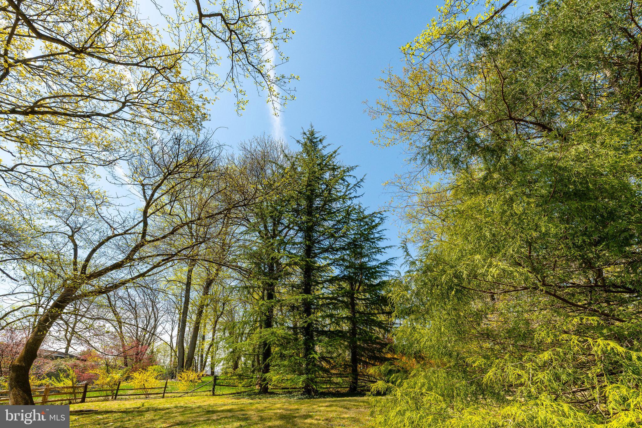 BRYN MAWR - Residential