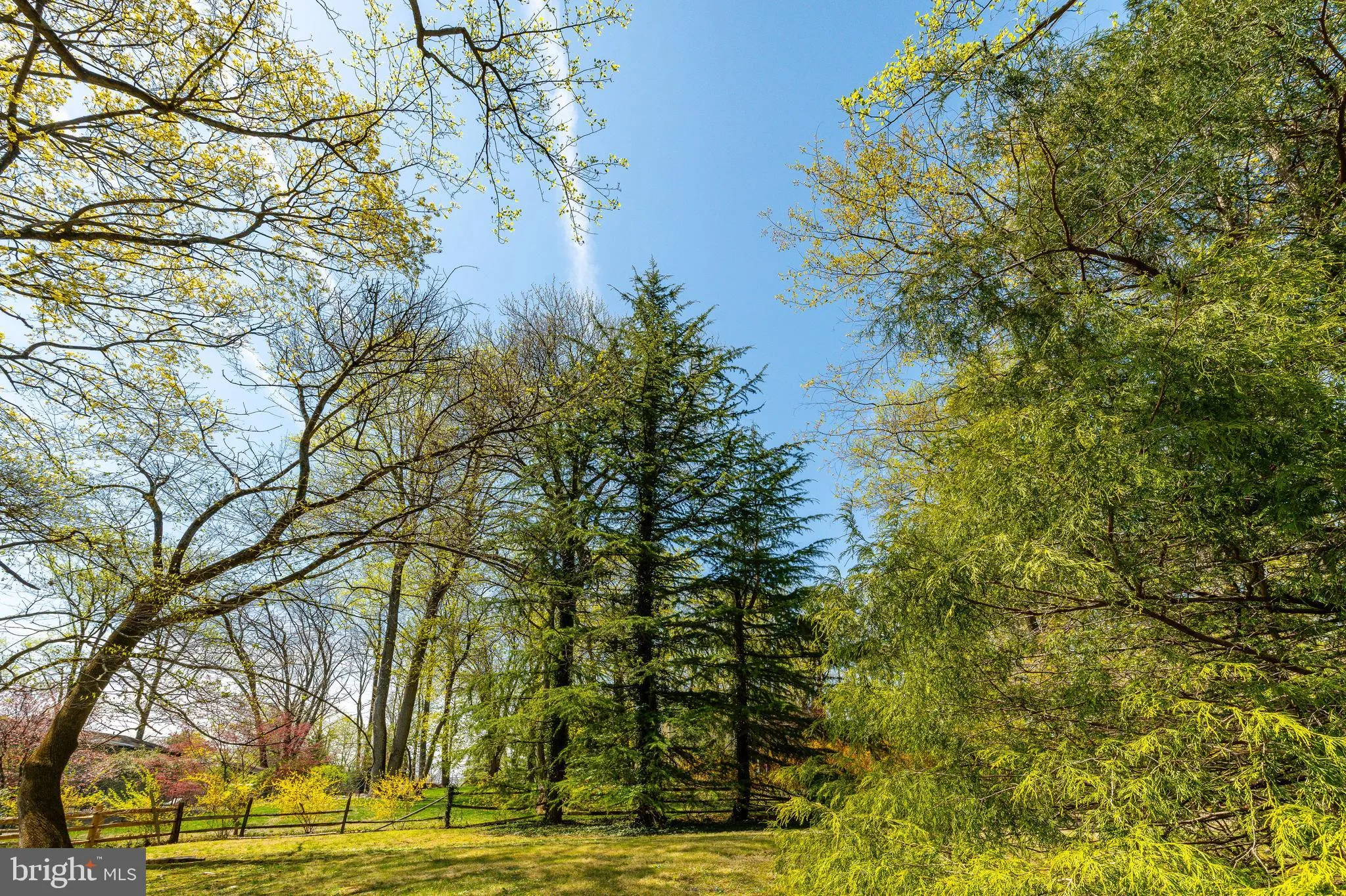 Bryn Mawr, Pennsylvania 19010, United States, 4 Bedrooms Bedrooms, ,4 BathroomsBathrooms,Residential,Pending,116135