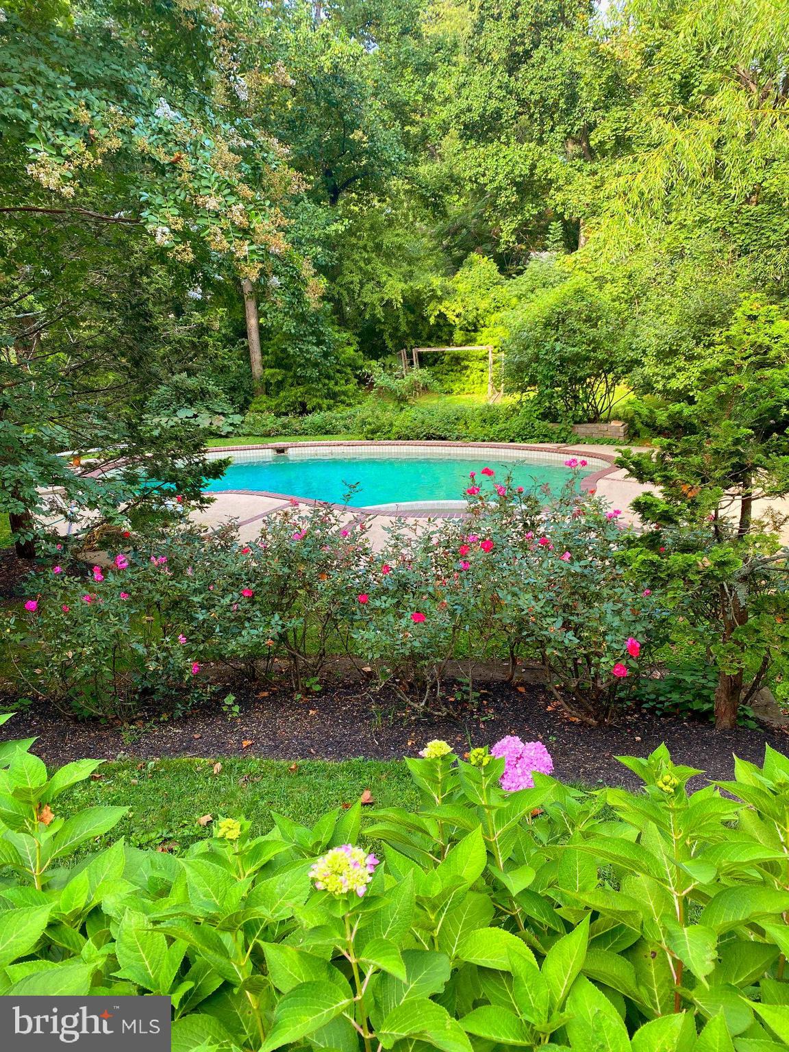 BRYN MAWR - Residential