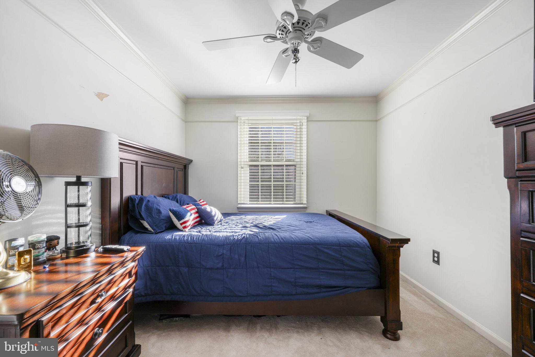 MAJORS CHOICE - Residential