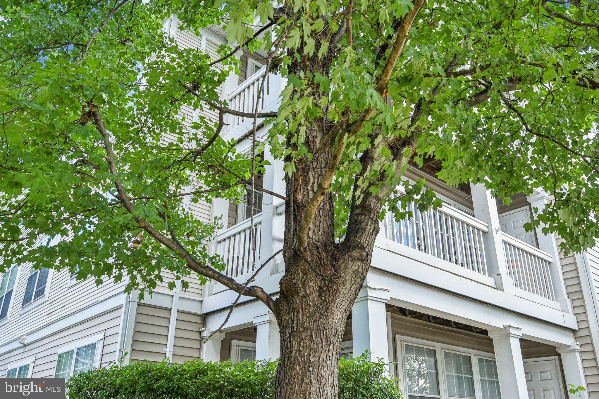 8107 LACY DRIVE 201