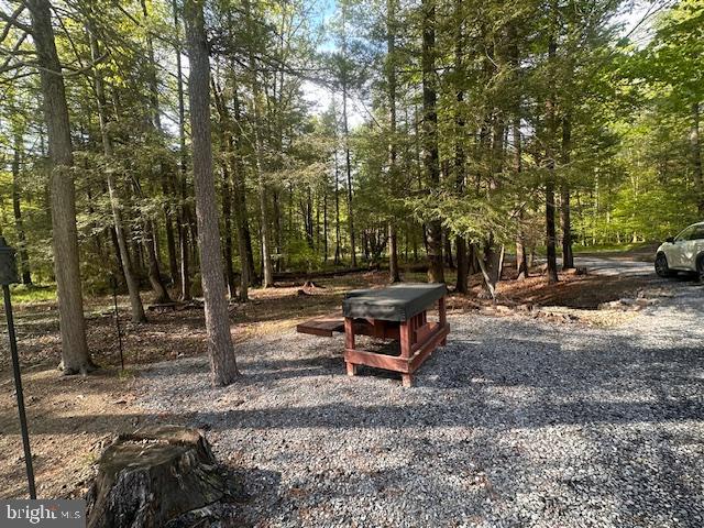 5168 BLACK LOG ROAD