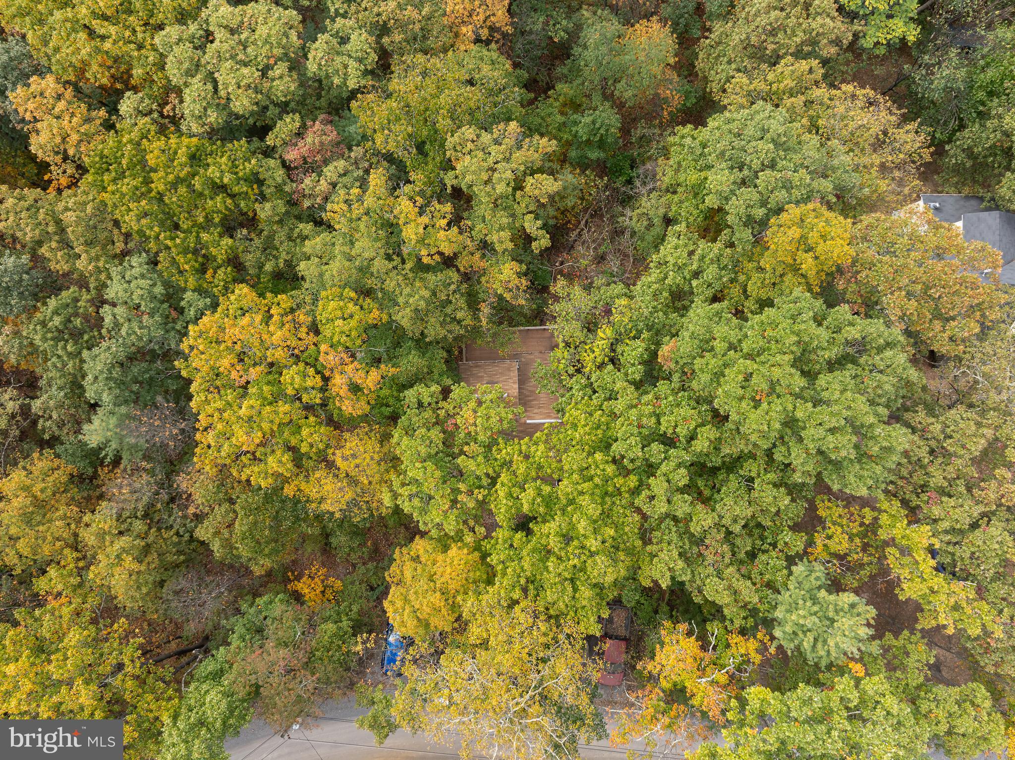 GLENWOOD FOREST - Residential