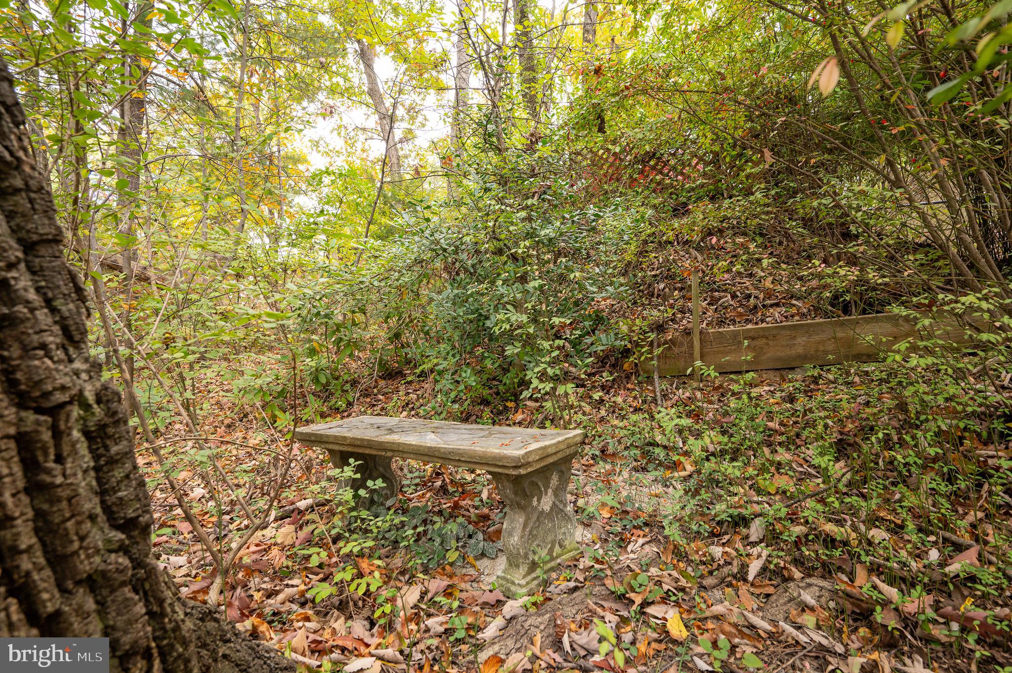 GLENWOOD FOREST - Residential