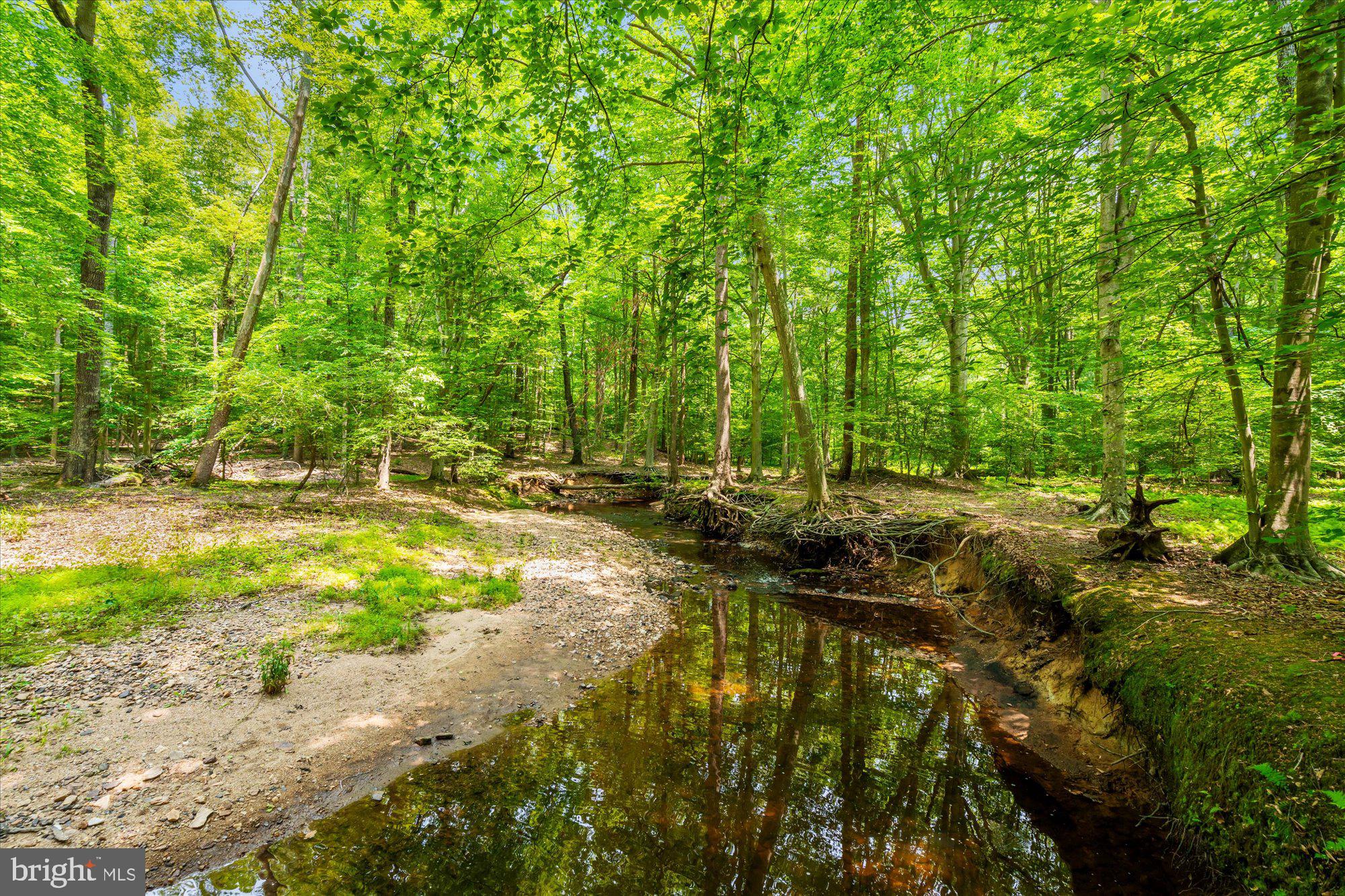 SHADOWALK - Residential