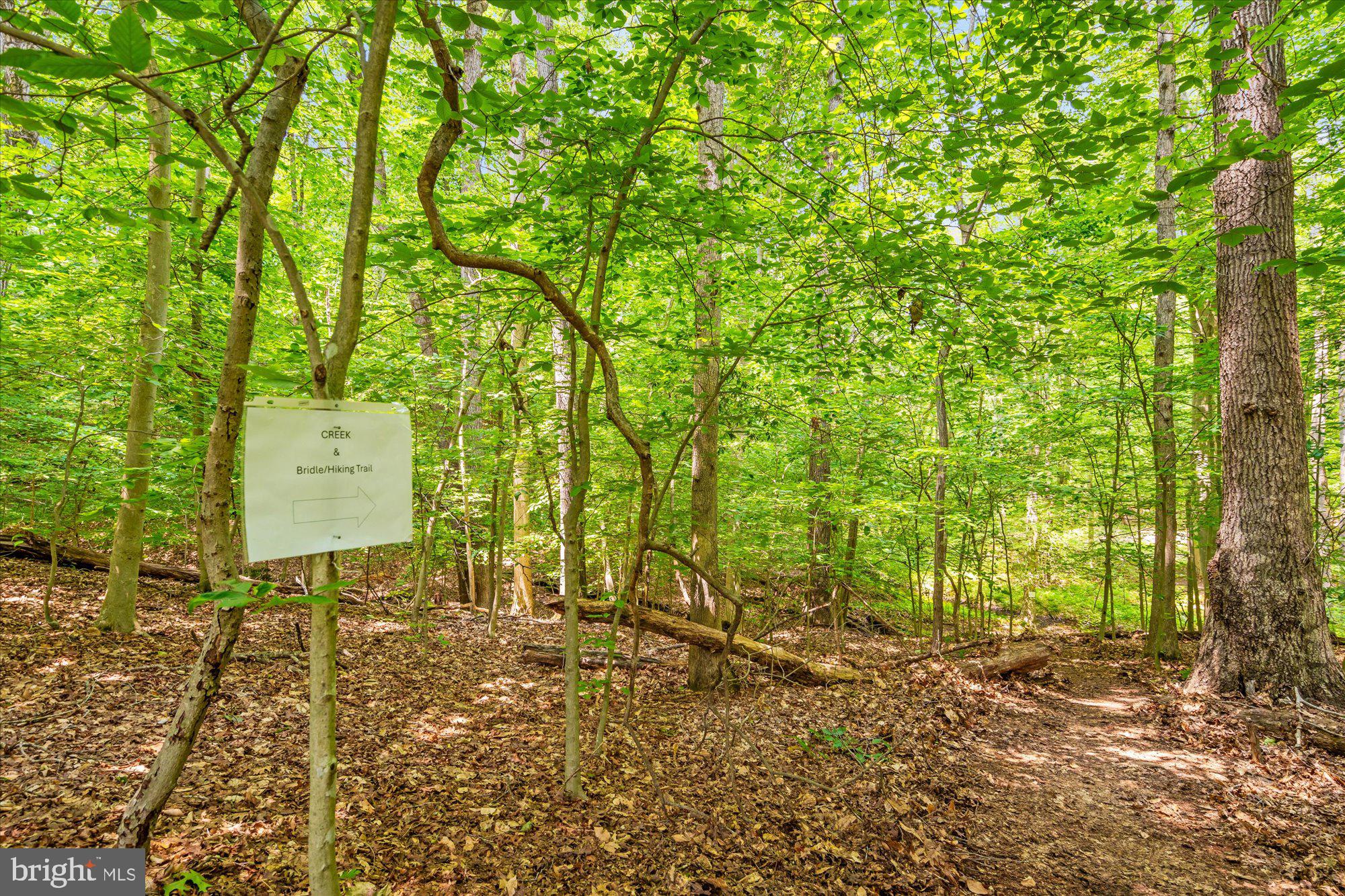 SHADOWALK - Residential