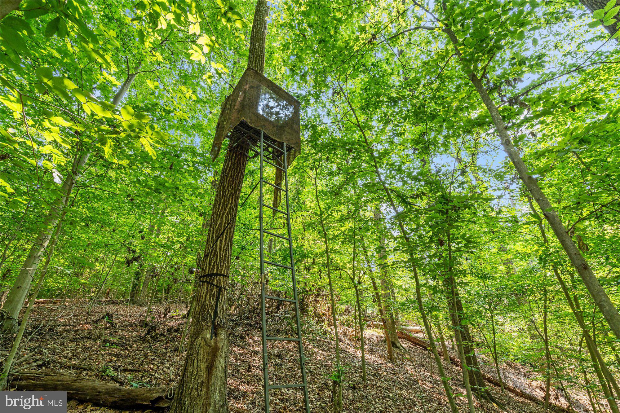 SHADOWALK - Residential