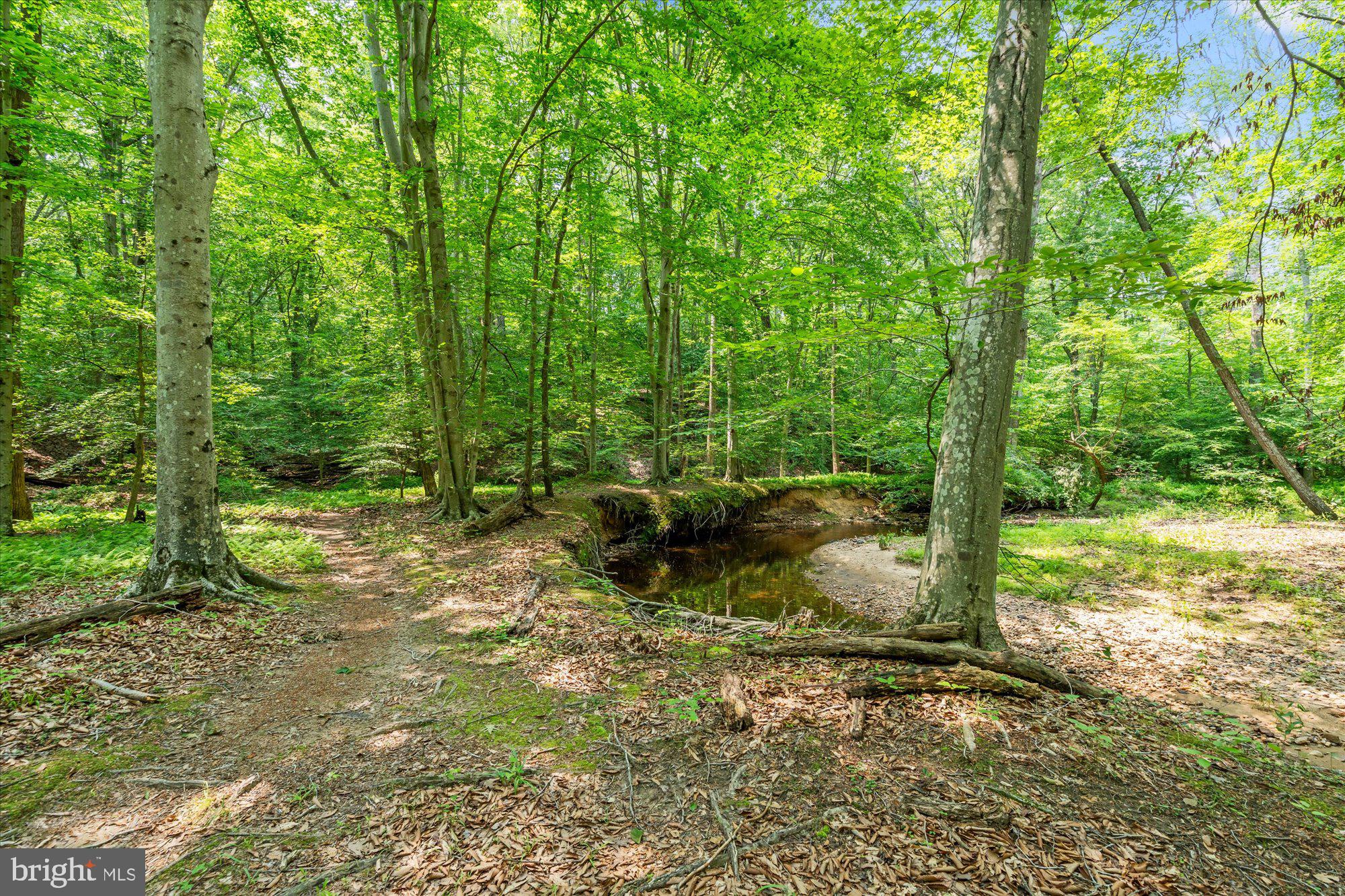 SHADOWALK - Residential