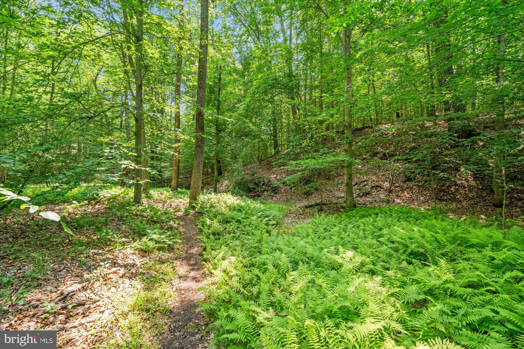 SHADOWALK - Residential