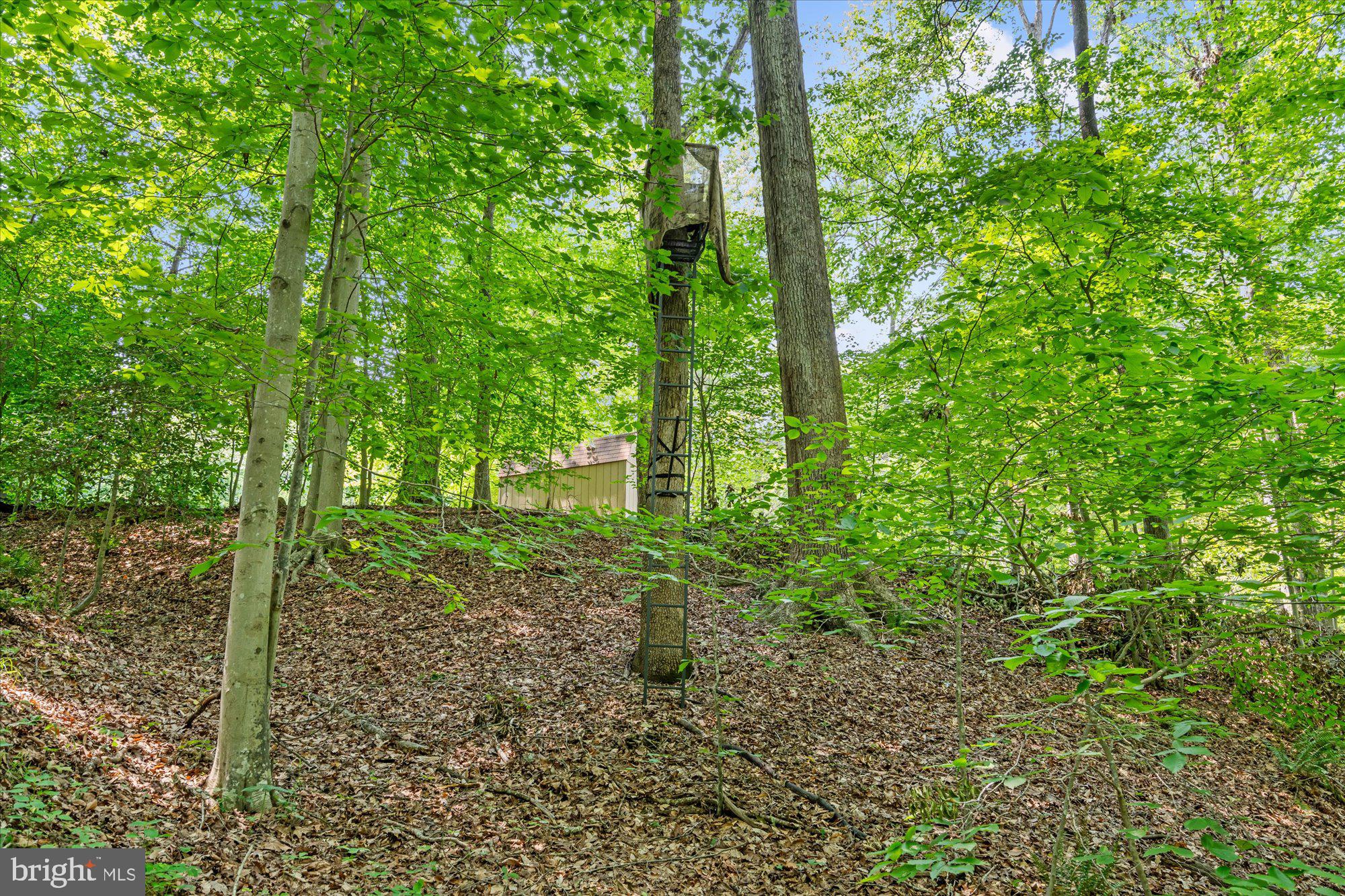 SHADOWALK - Residential