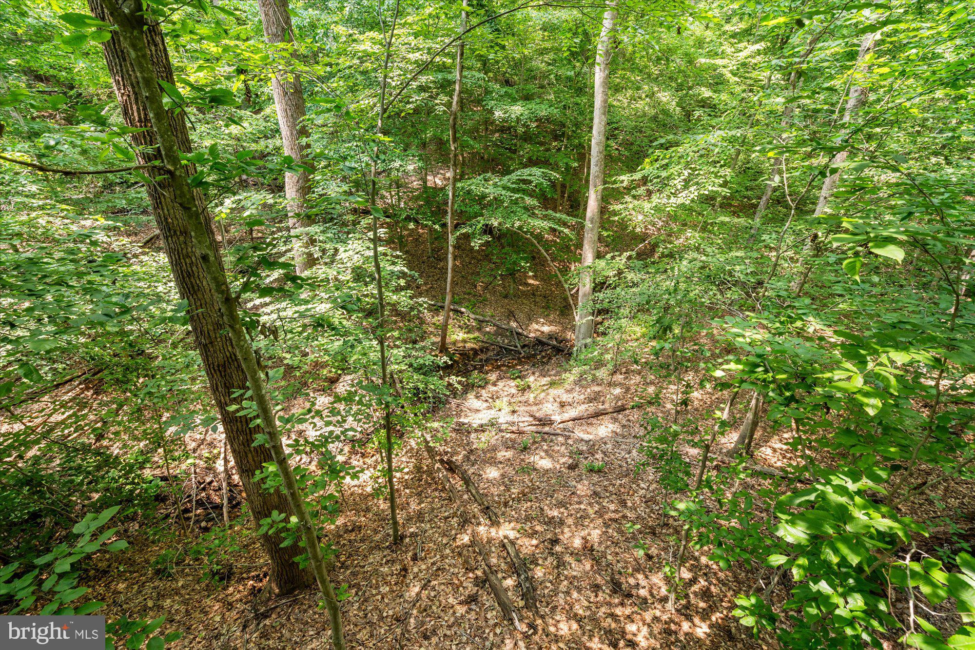 SHADOWALK - Residential