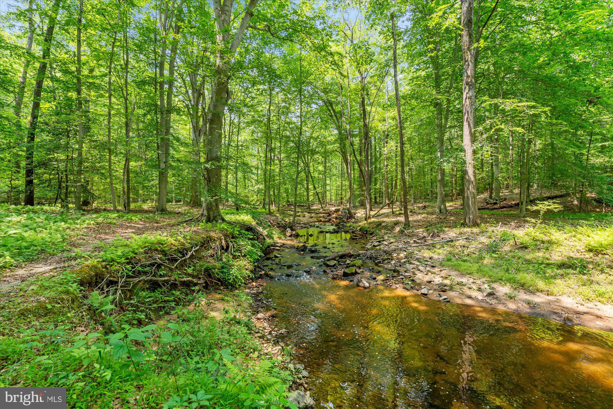 SHADOWALK - Residential