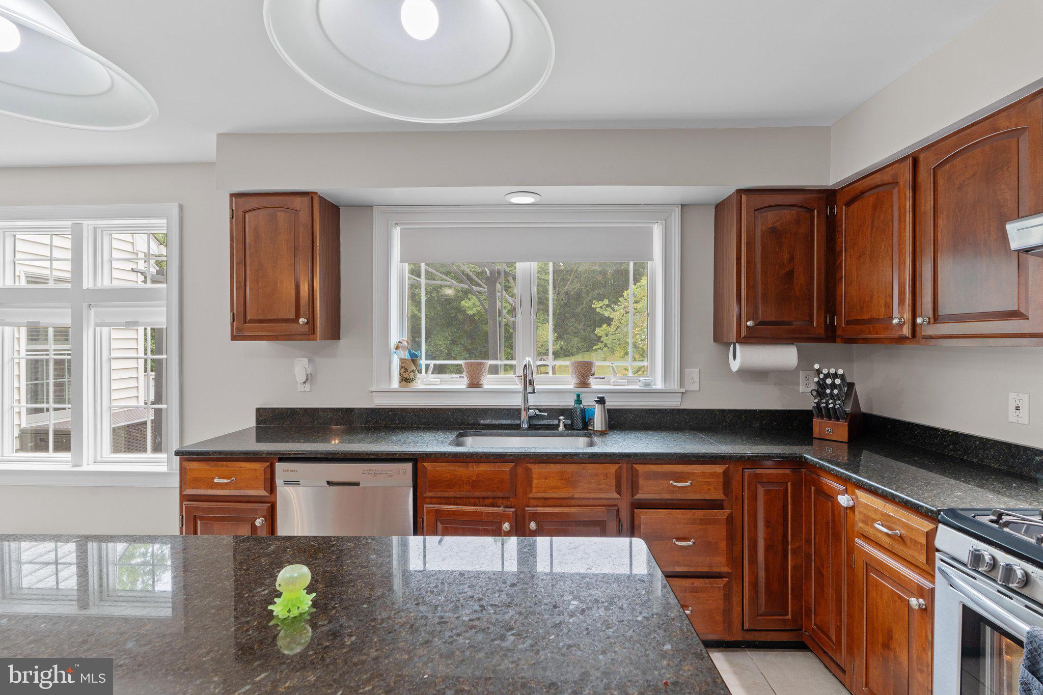 1110 SOMERSET LANE