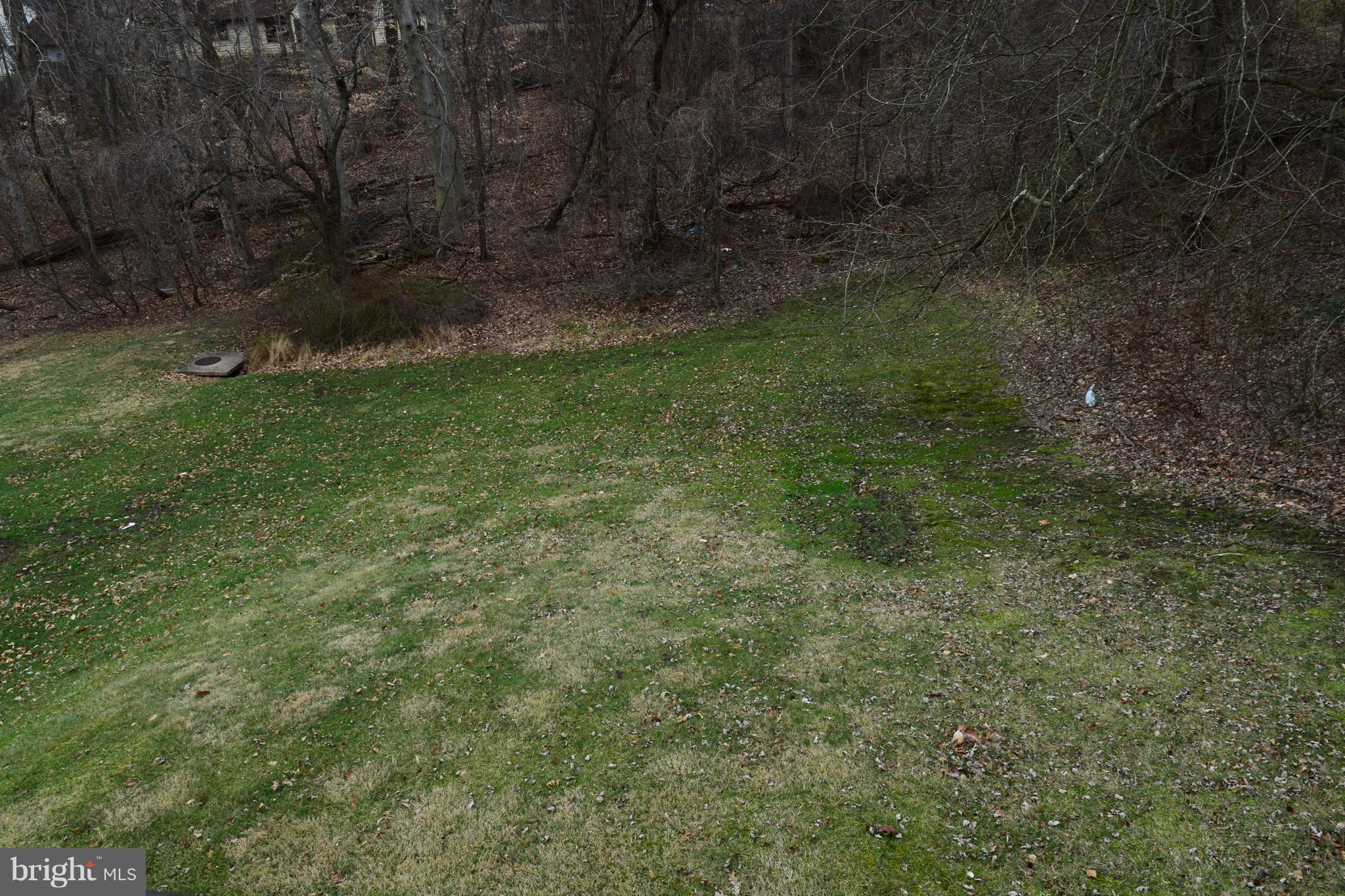 BRANDYWINE COUNTRY - Residential