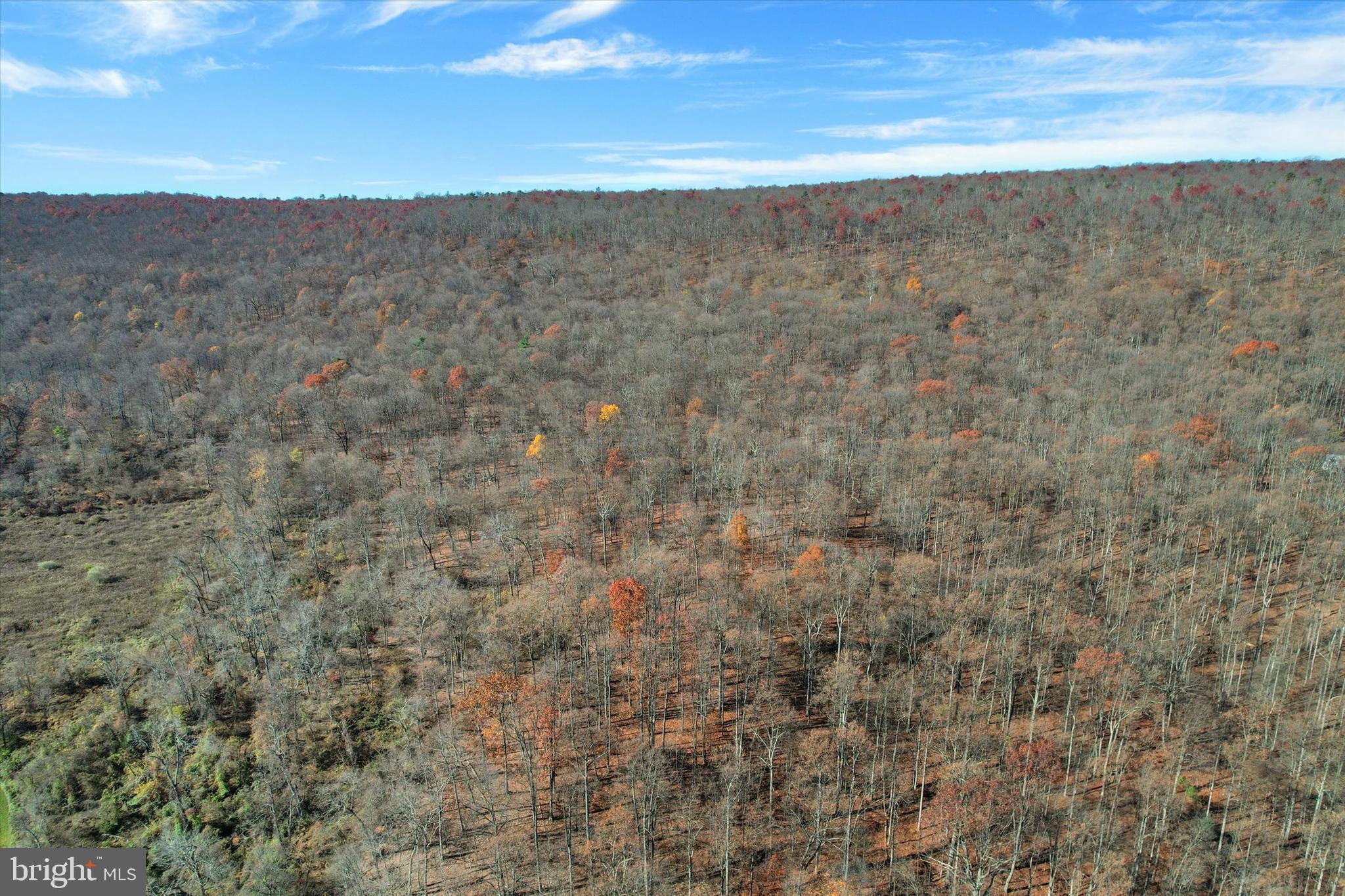 1245 GREEN RIDGE ROAD