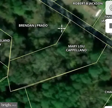 MLS: MDSO2006852