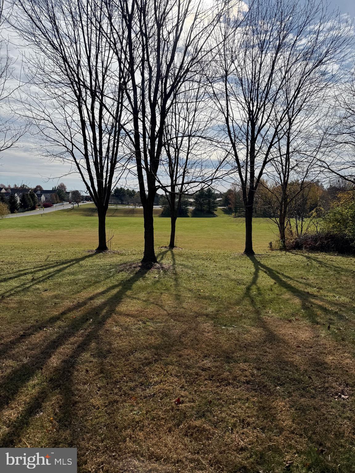 3860 NORMANDY DRIVE 3D