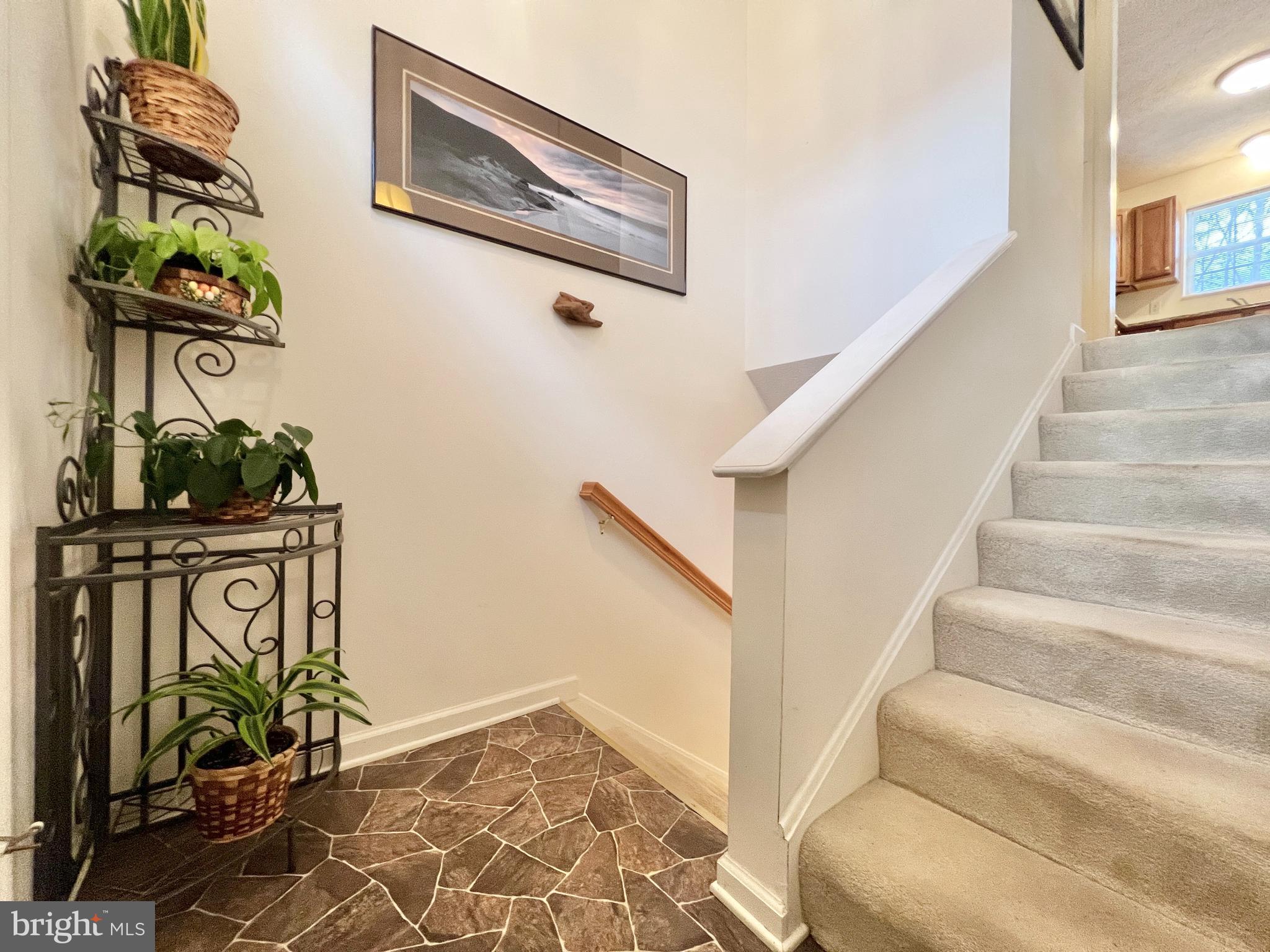 DRY RUN COMMONS - Residential