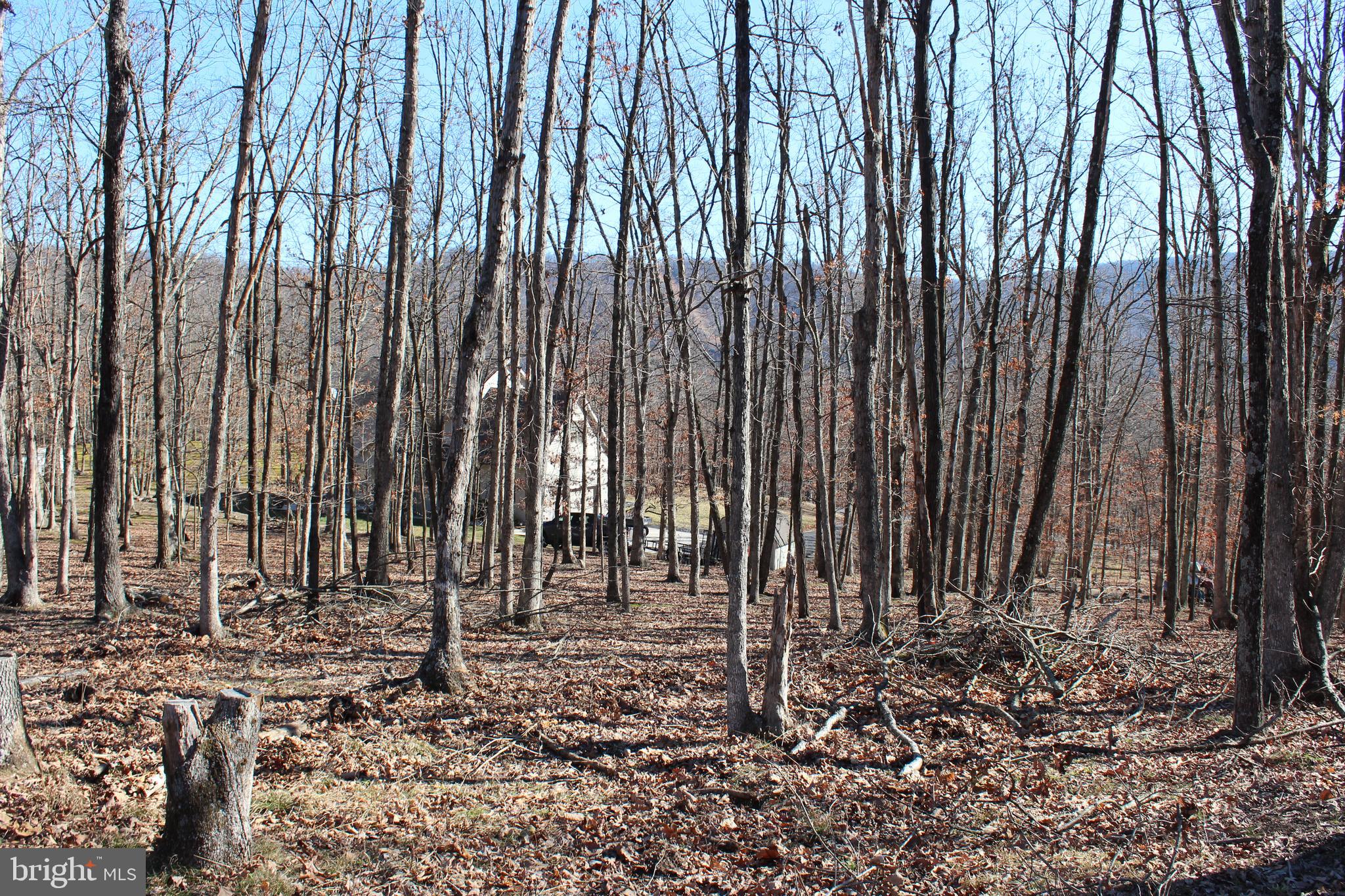 TIMBERLAKE ESTATES - Land