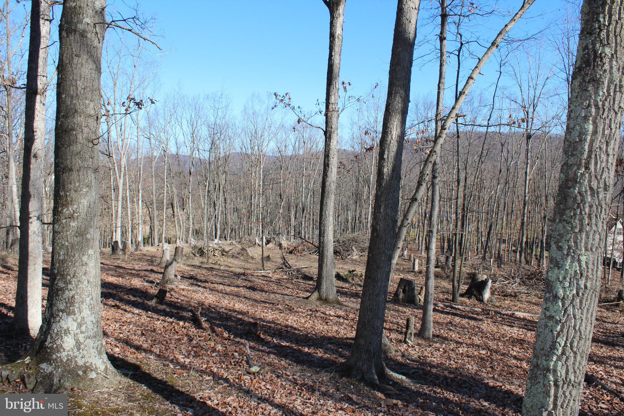 TIMBERLAKE ESTATES - Land