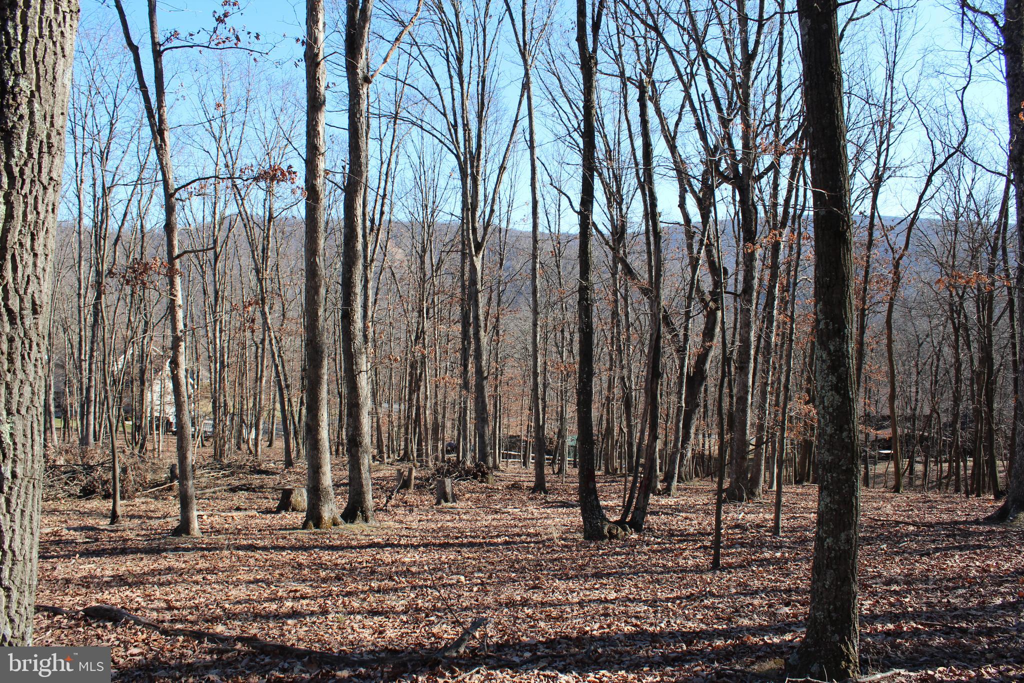 TIMBERLAKE ESTATES - Land