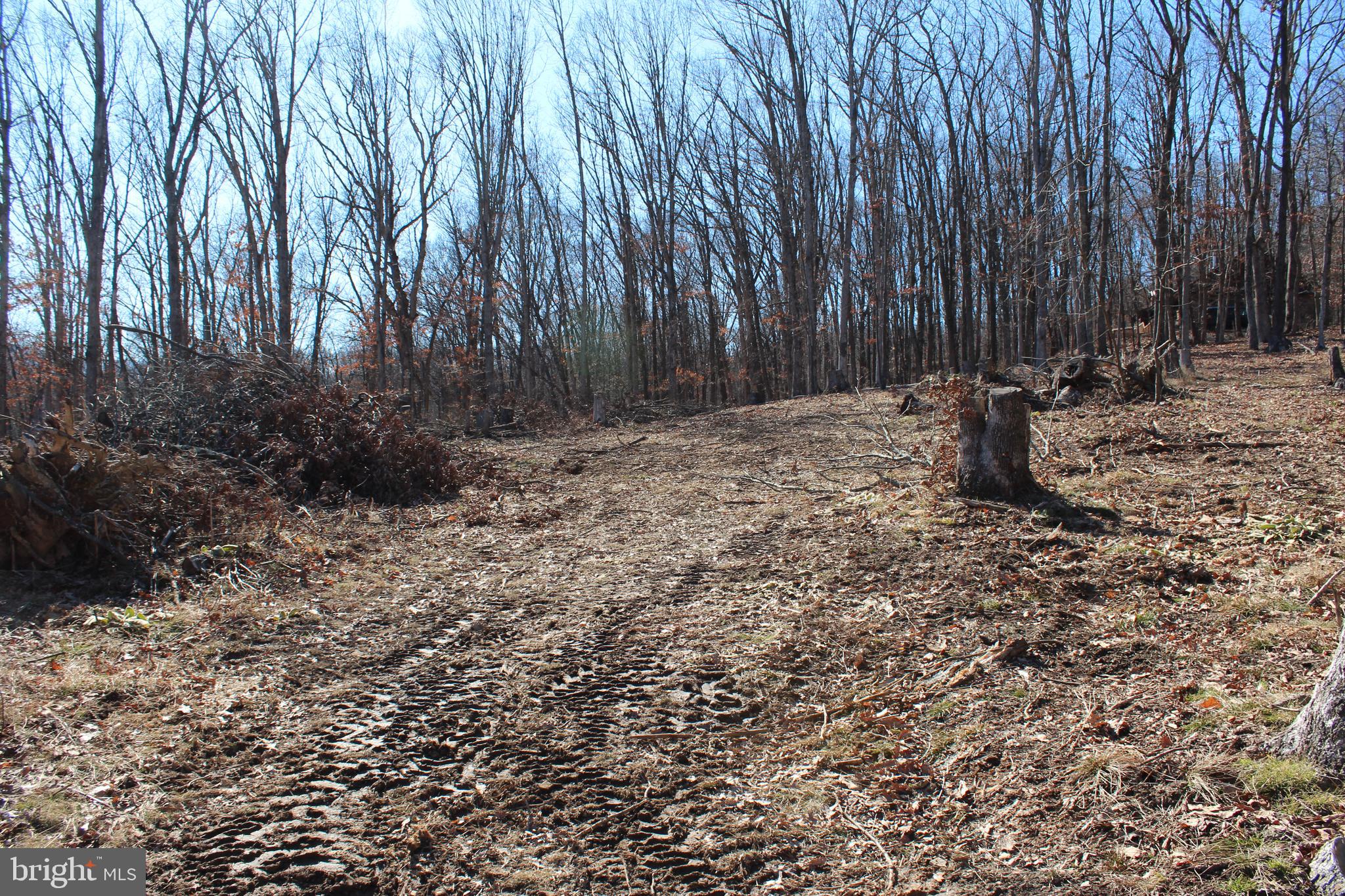 TIMBERLAKE ESTATES - Land