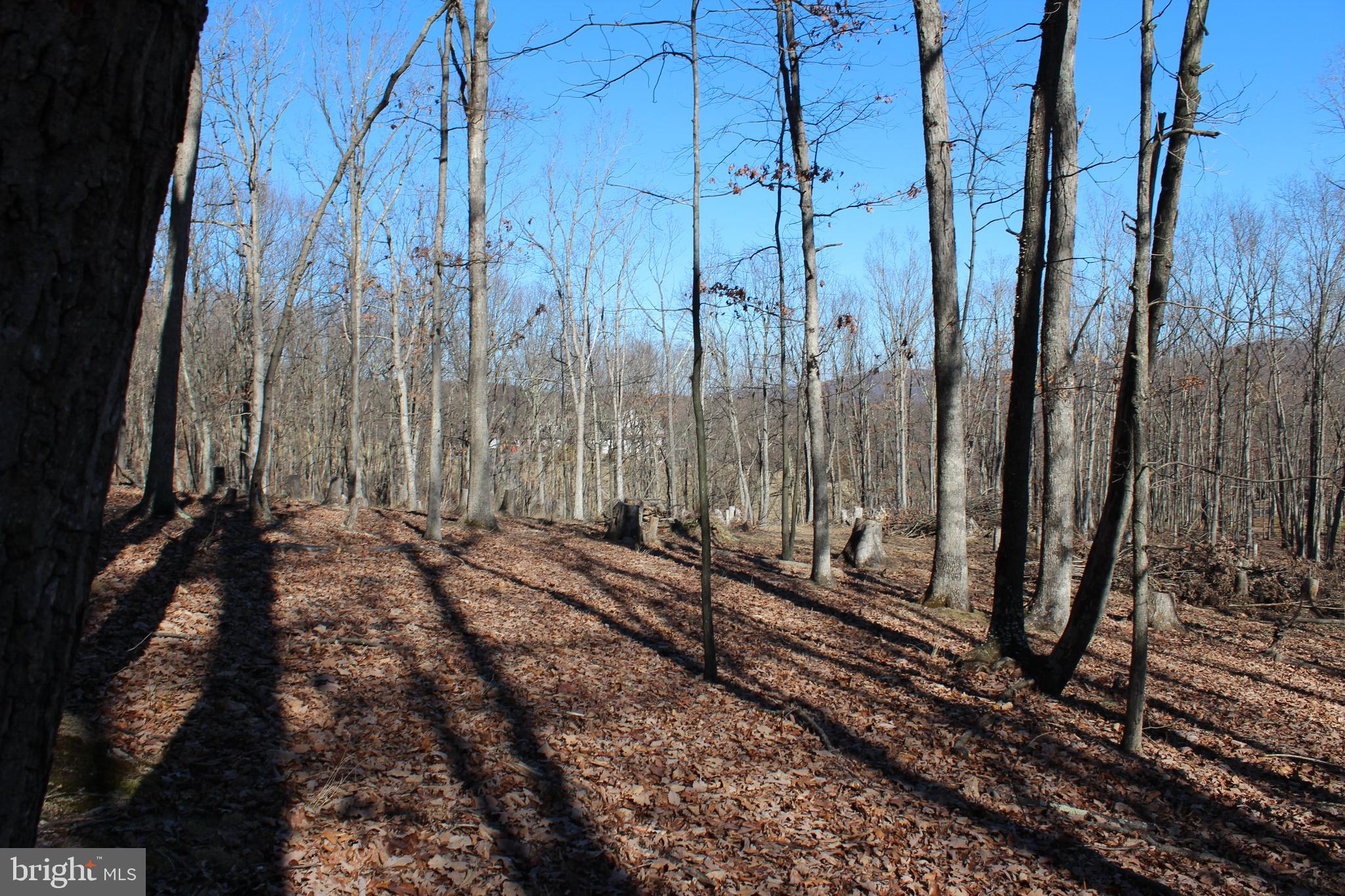 TIMBERLAKE ESTATES - Land