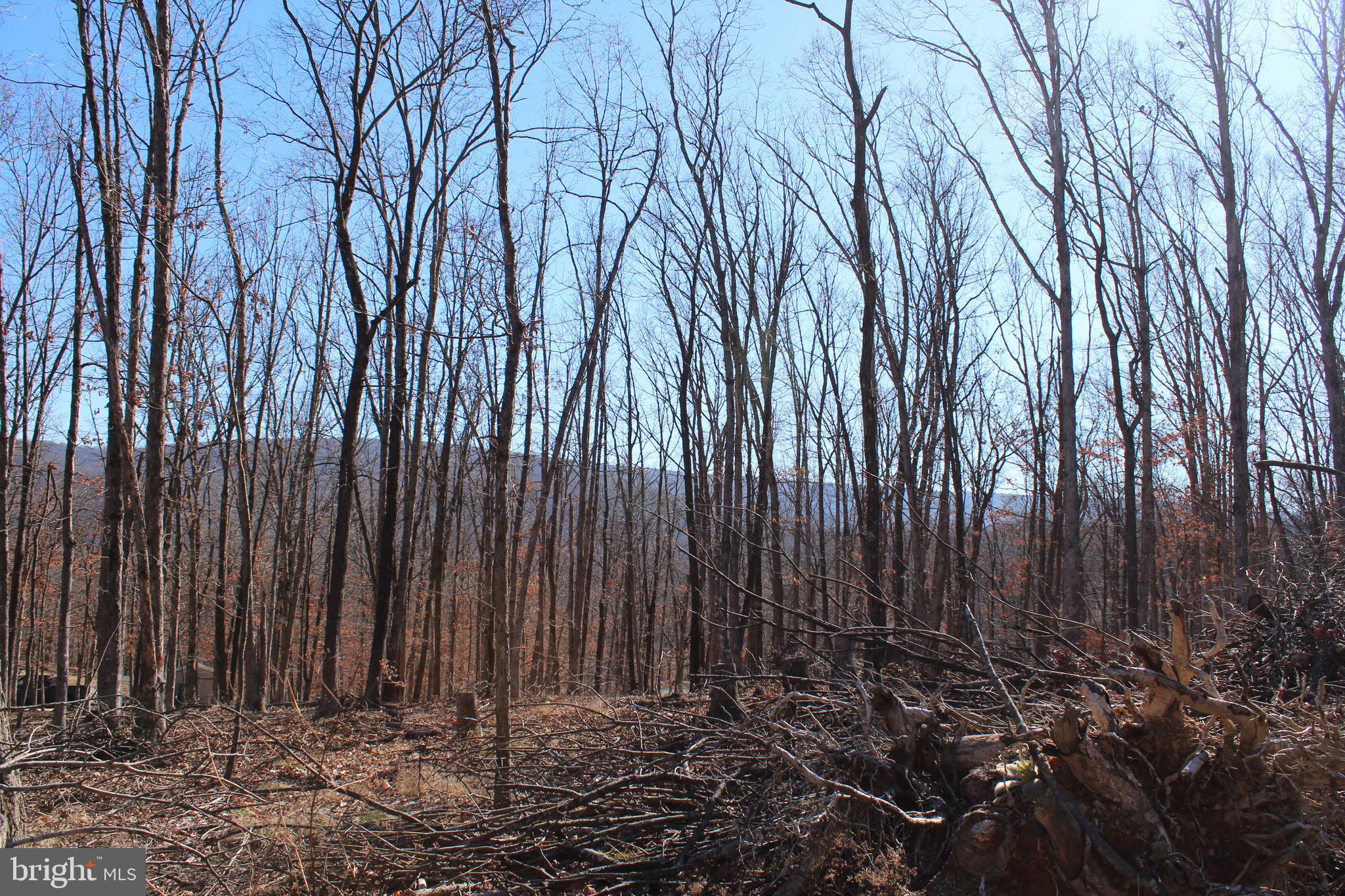 TIMBERLAKE ESTATES - Land