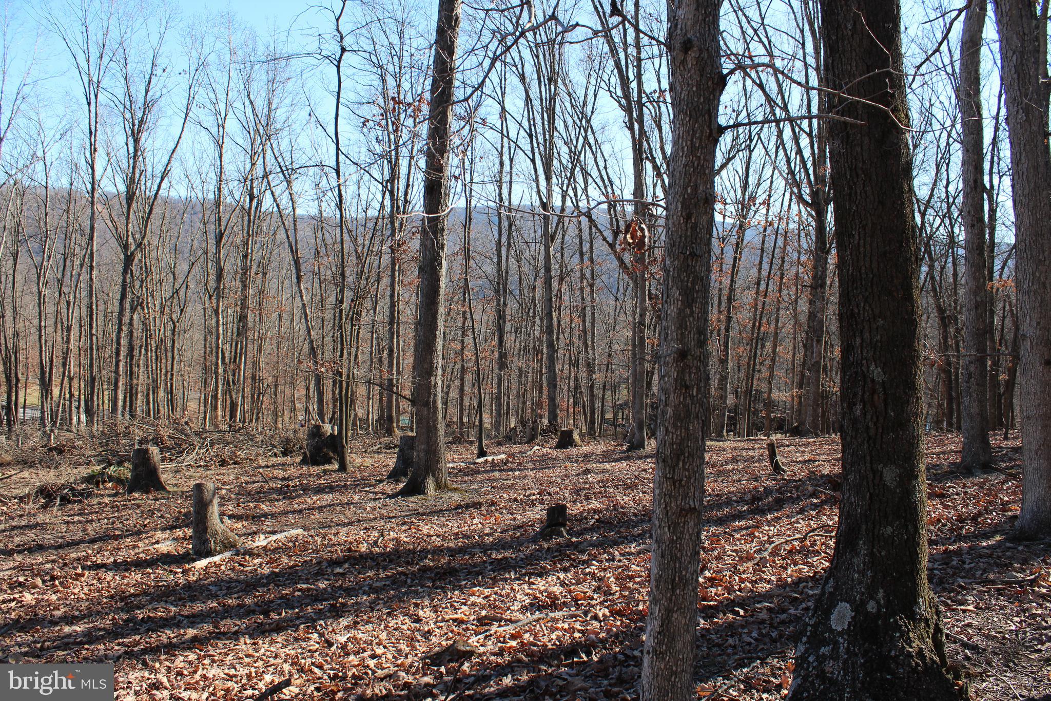 TIMBERLAKE ESTATES - Land